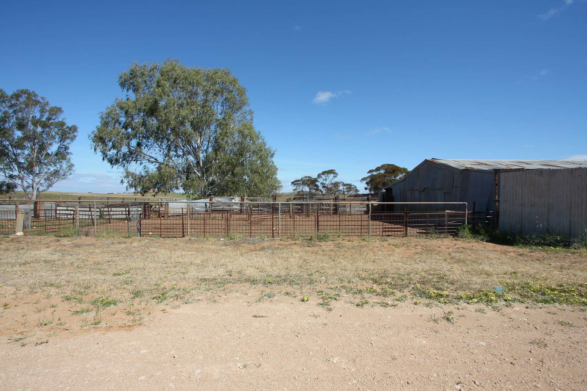 252 Hoffner Road, Sandalwood For Sale by Farmbuy.com - image 16
