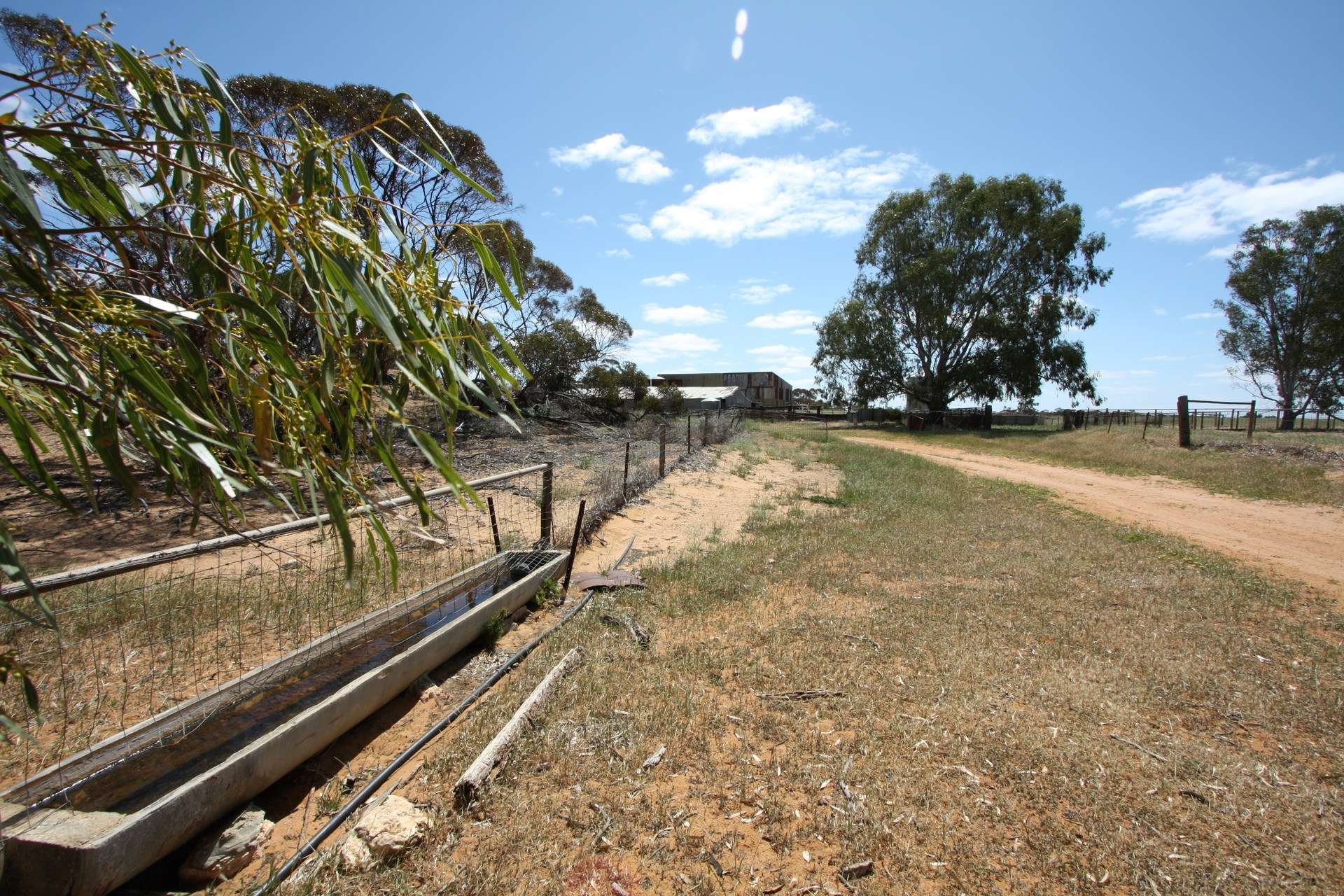 252 Hoffner Road, Sandalwood For Sale by Farmbuy.com - image 7