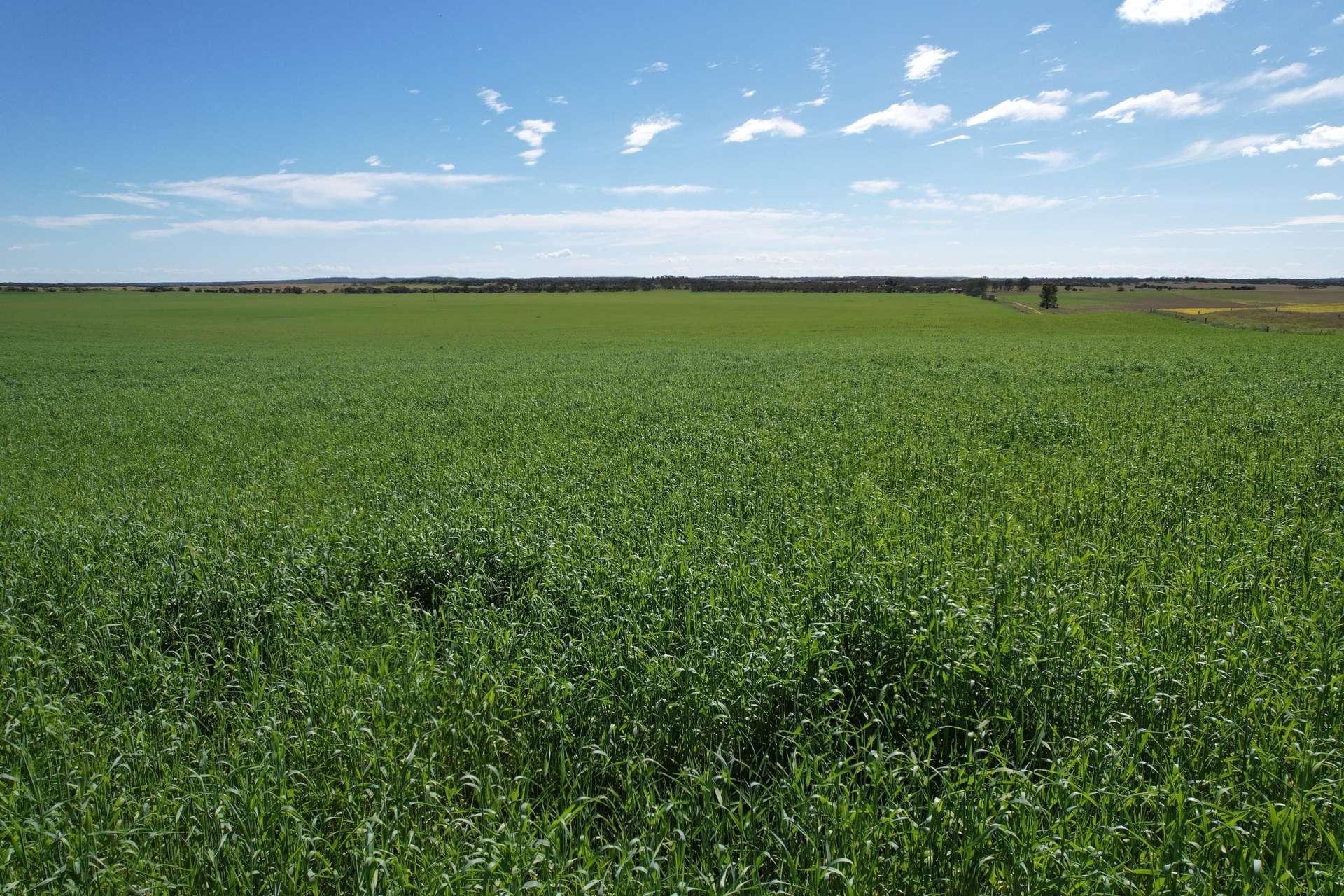 252 Hoffner Road, Sandalwood For Sale by Farmbuy.com - image 8