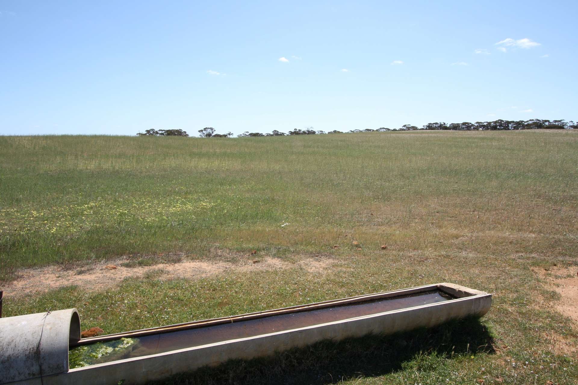 252 Hoffner Road, Sandalwood For Sale by Farmbuy.com - image 8