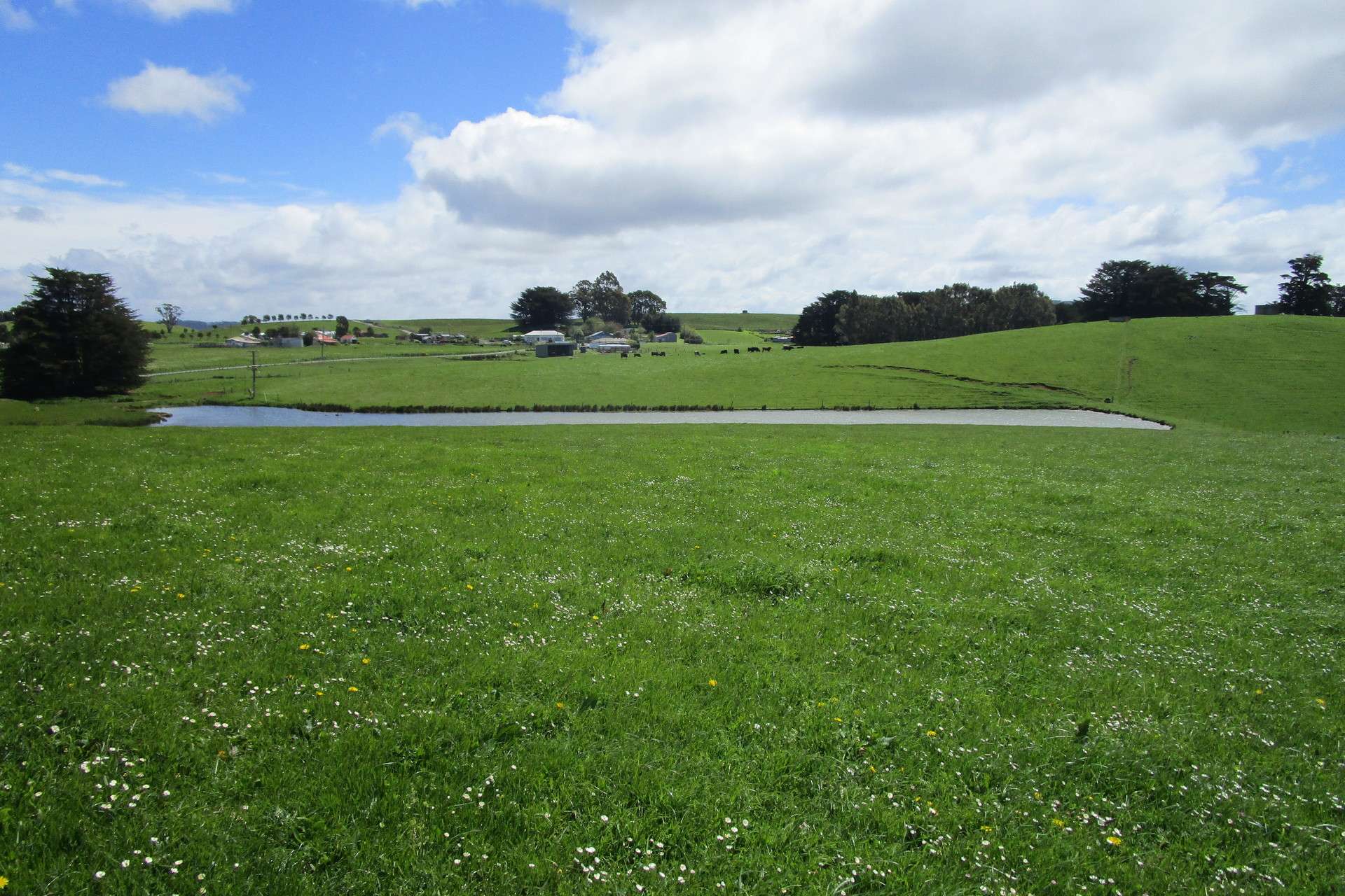 65 Preston-Castra Road, Preston For Sale by Farmbuy.com - image 10