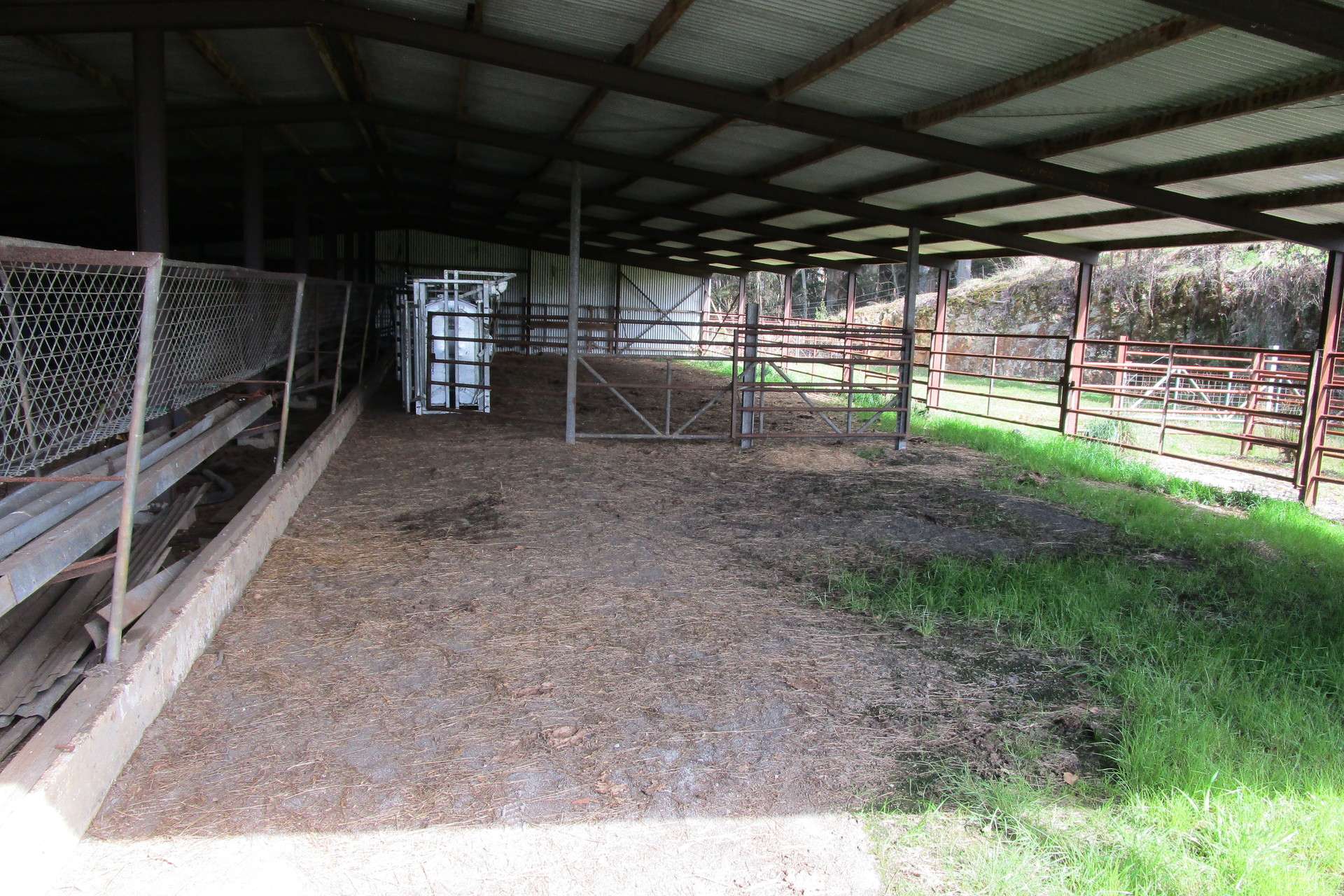 65 Preston-Castra Road, Preston For Sale by Farmbuy.com - image 6