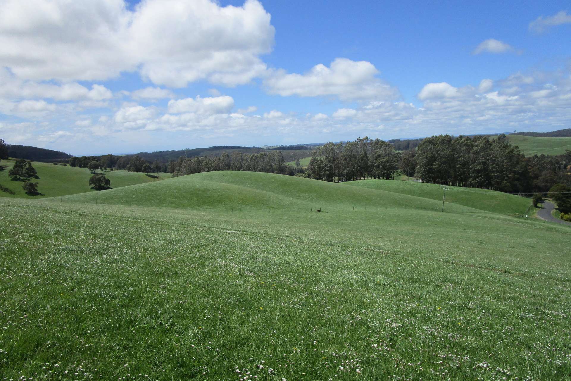 65 Preston-Castra Road, Preston For Sale by Farmbuy.com - image 1