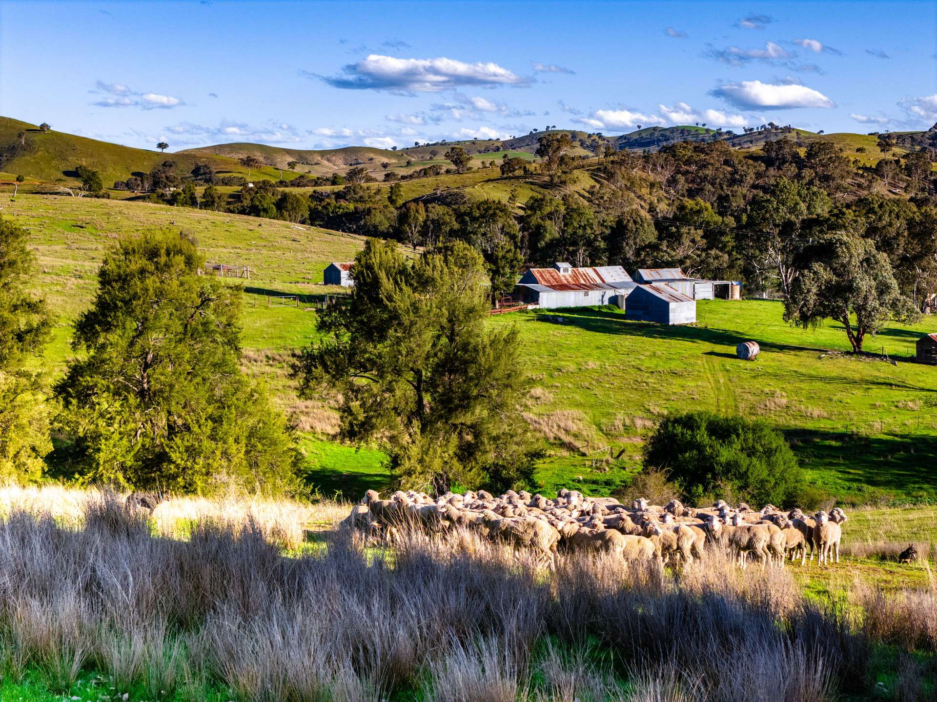 "The Junction" Mulgowrie Rd, Crookwell Sold by Farmbuy.com - image 25