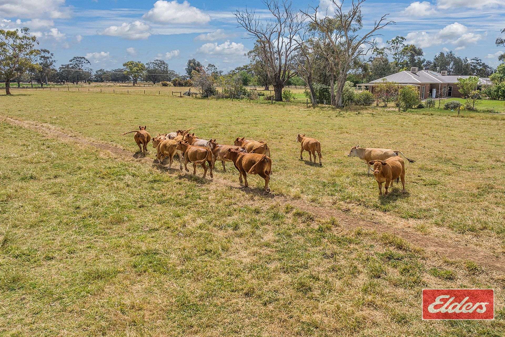 615 Wharparilla Road, Echuca For Sale by Farmbuy.com - image 27