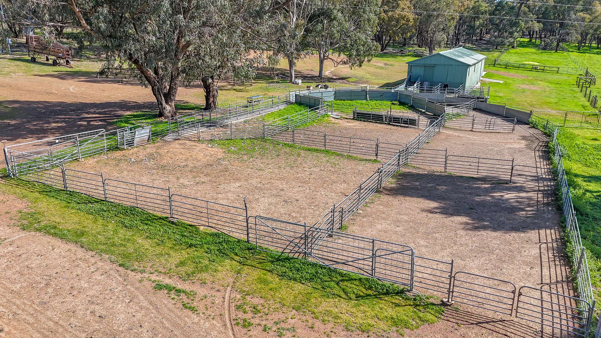 The Lakes, 598 Wariin Road, Woottating For Sale by Farmbuy.com - image 14