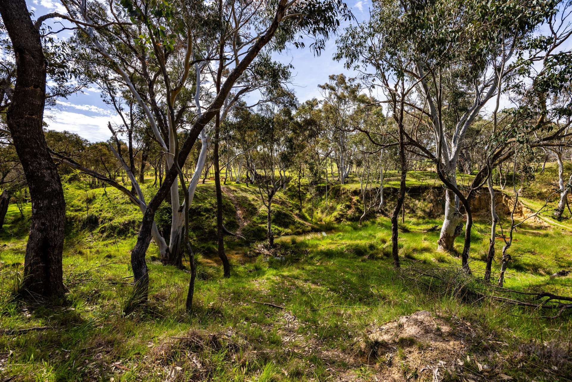 "Inyanga" 79 Zouch Road, Yass Sold by Farmbuy.com - image 7