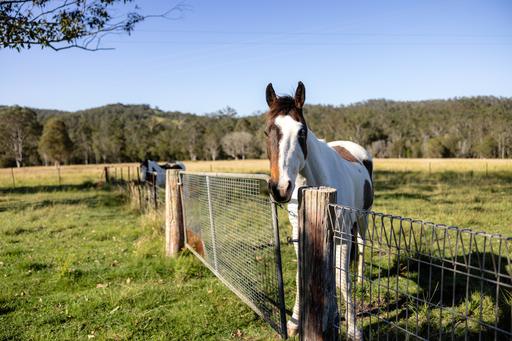 Farm Sold - NSW - Hillville - 2430 - Double The Potential 