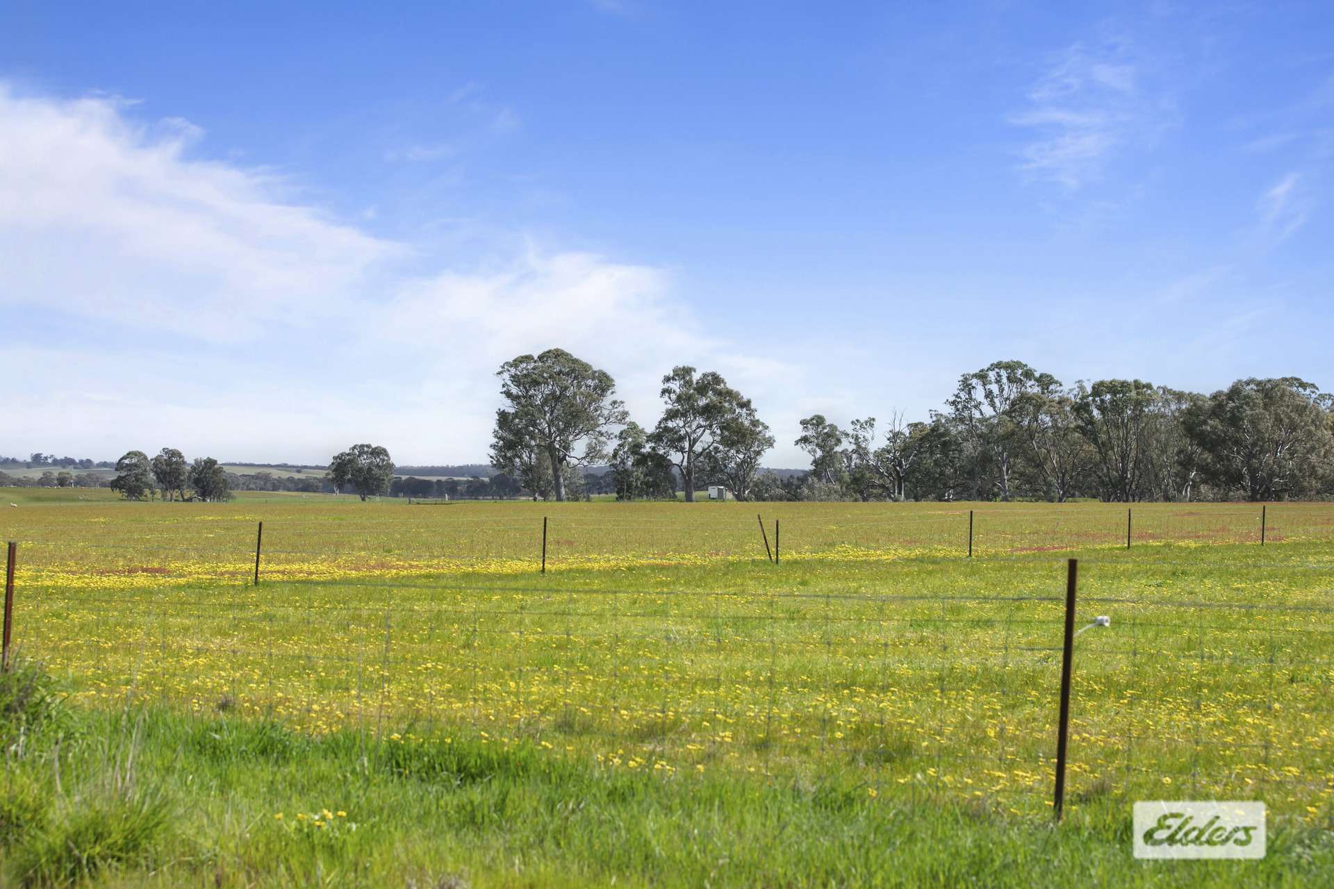 CA 18,92,9 Raeburn Road, Paradise For Sale by Farmbuy.com - image 19