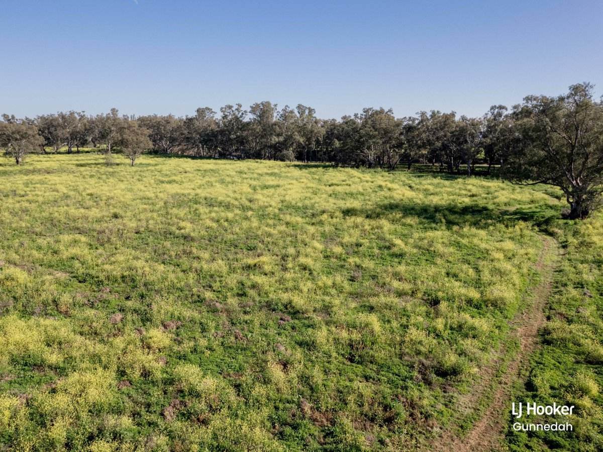 Lot 1 Part Runnymede Old Tamworth Road, Gunnedah Sold by Farmbuy.com - image 15