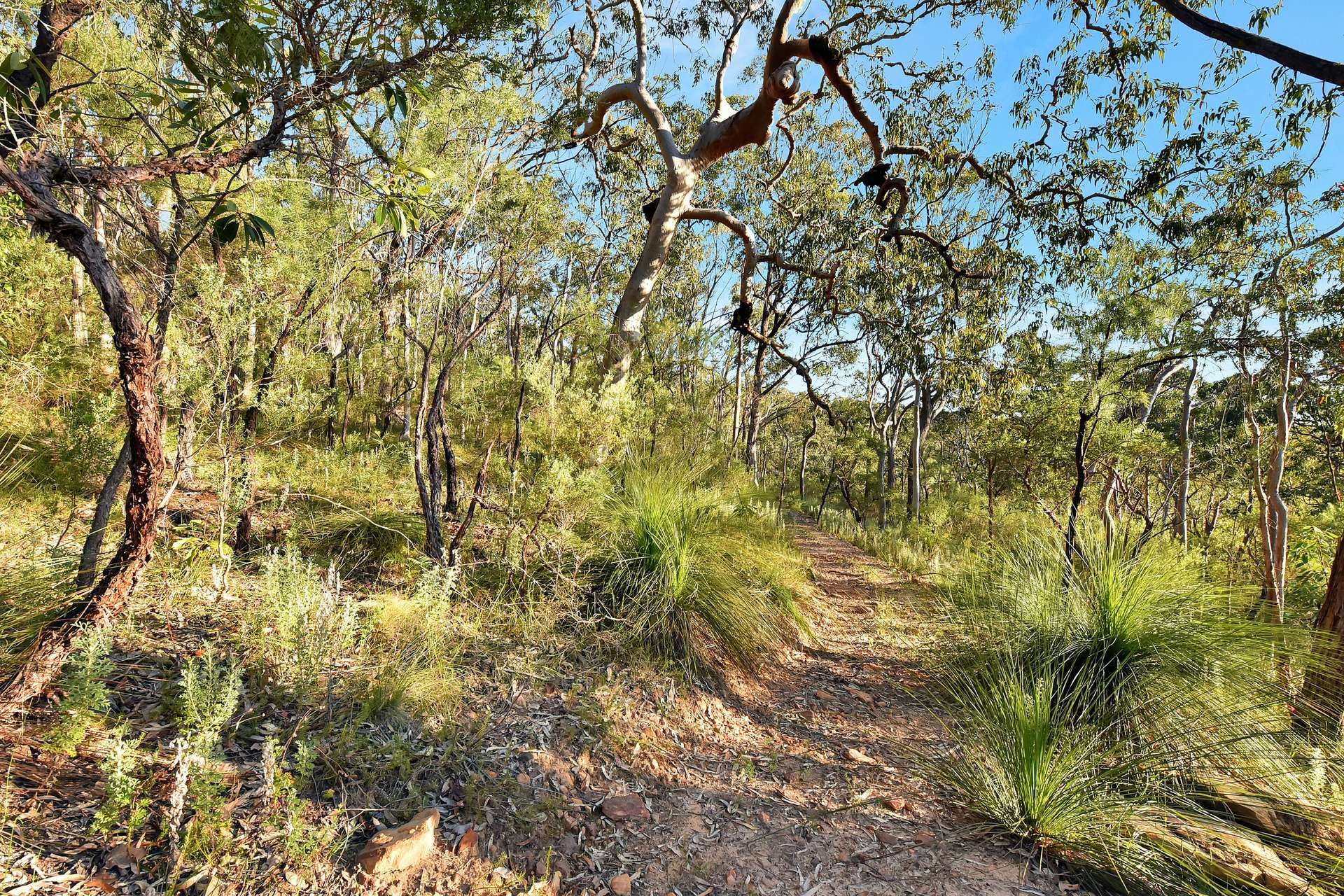 141 Lynch Road, Laguna For Sale by Farmbuy.com - image 14