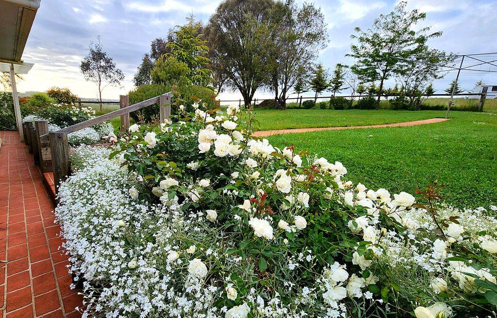 1249 Gurrundah Road, Parkesbourne Via, Goulburn Sold by Farmbuy.com - image 14