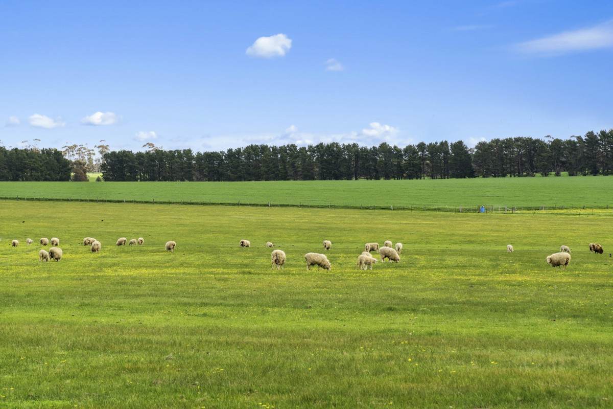 3077 Geelong Road, Cross Roads For Sale by Farmbuy.com - image 3