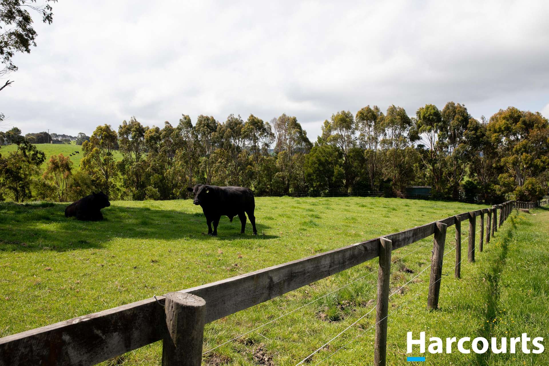 715 Falls Road, Fish Creek For Sale by Farmbuy.com - image 11