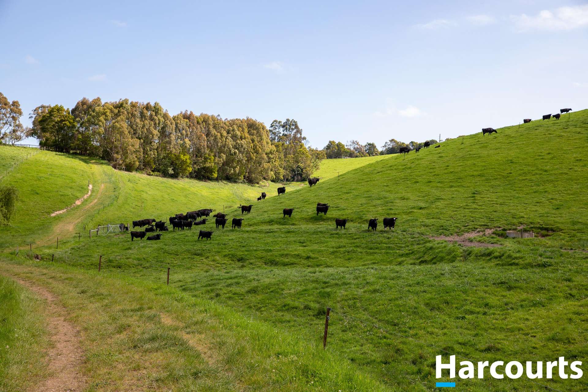 715 Falls Road, Fish Creek For Sale by Farmbuy.com - image 17