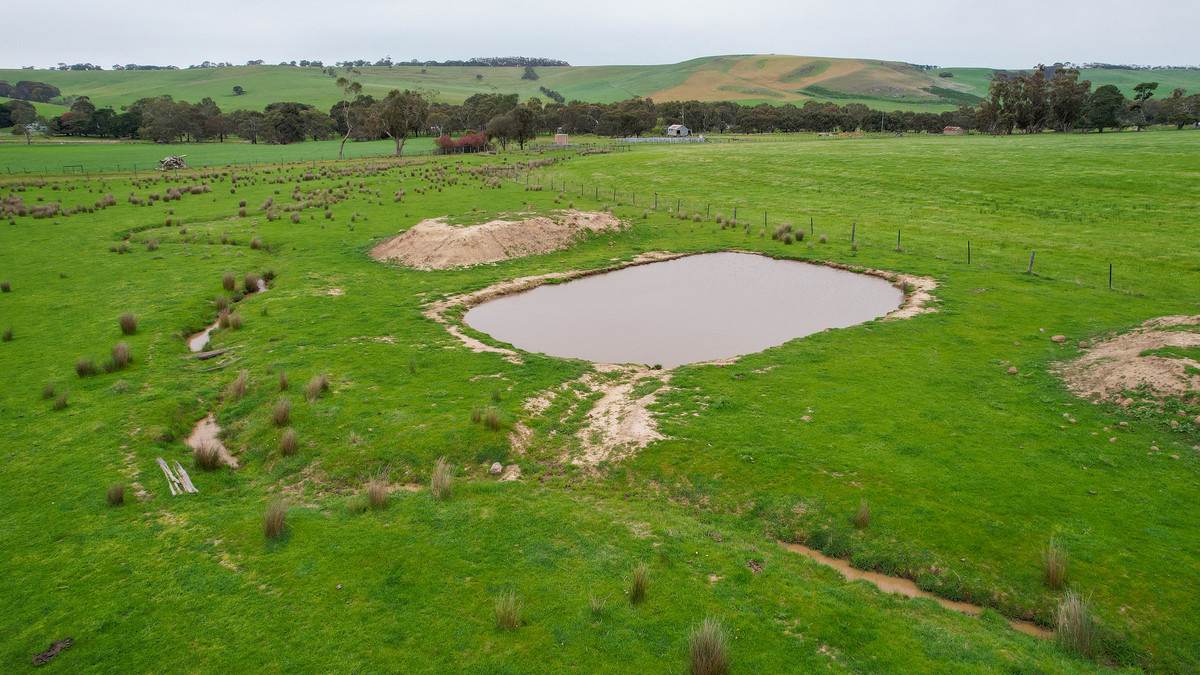 649 Coleraine - Balmoral Road, Wootong Vale For Sale by Farmbuy.com - image 26