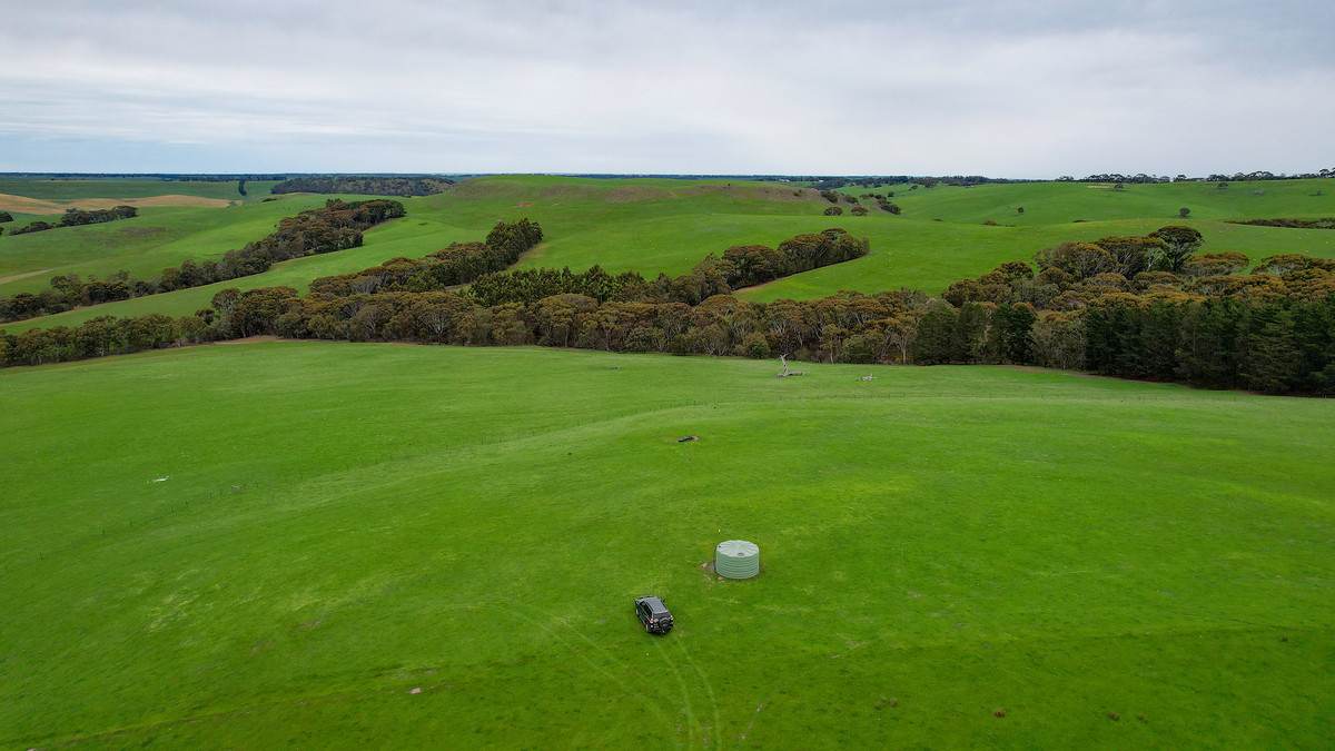 649 Coleraine - Balmoral Road, Wootong Vale For Sale by Farmbuy.com - image 24