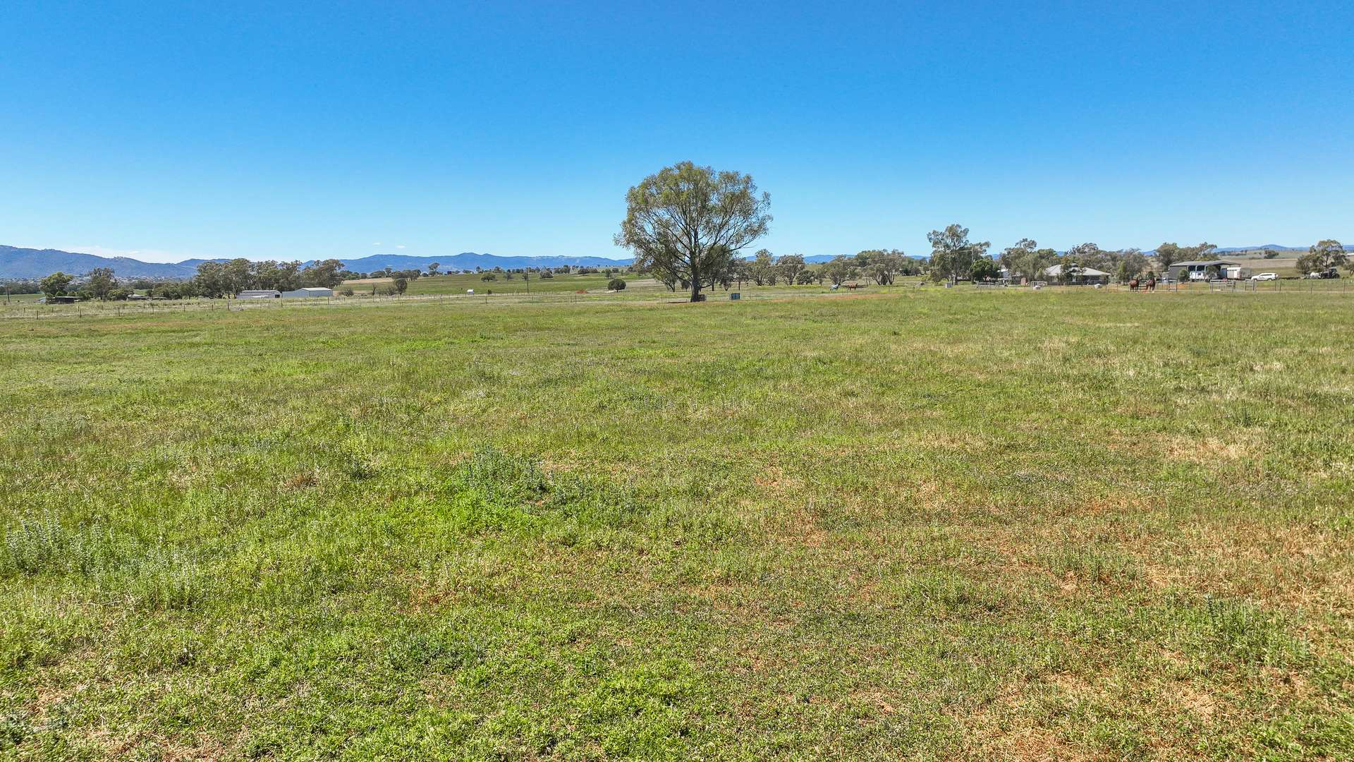 97 Phillip Lane, Tamworth Sold by Farmbuy.com - image 16