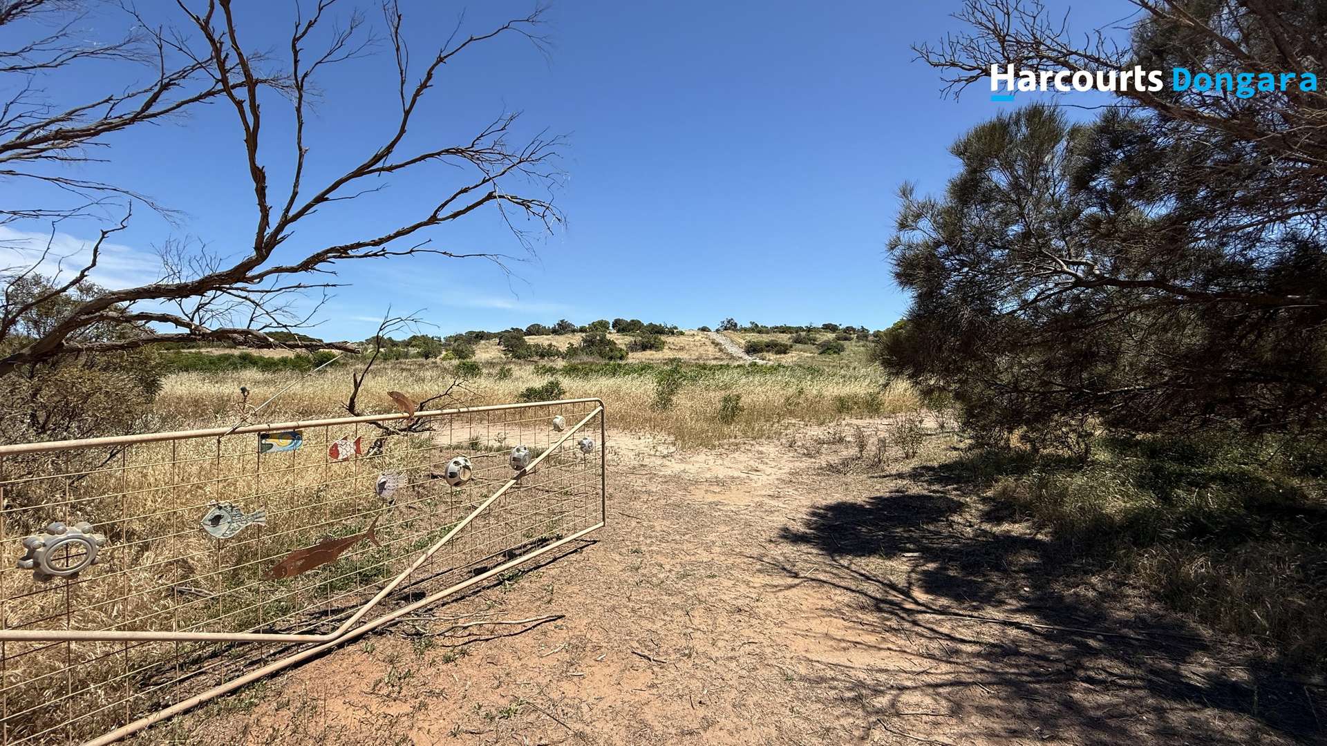 Lot 111 Bonniefield Road East, Bonniefield Sold by Farmbuy.com - image 8