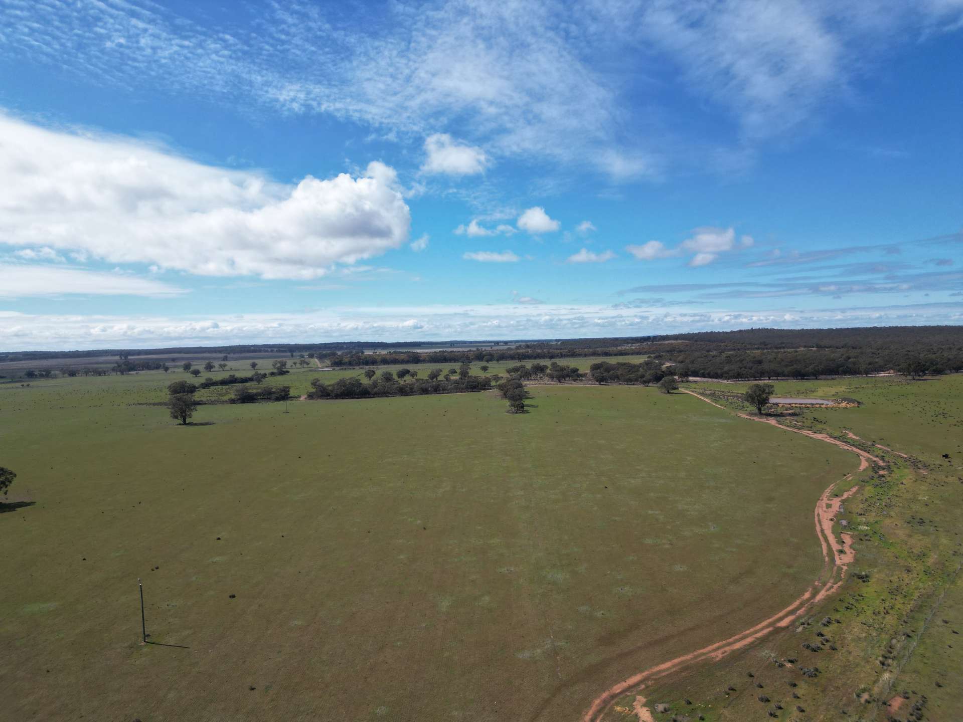 ' Dalmallee' 735 Charcoal Tank Road, West Wyalong For Sale by Farmbuy.com - image 5
