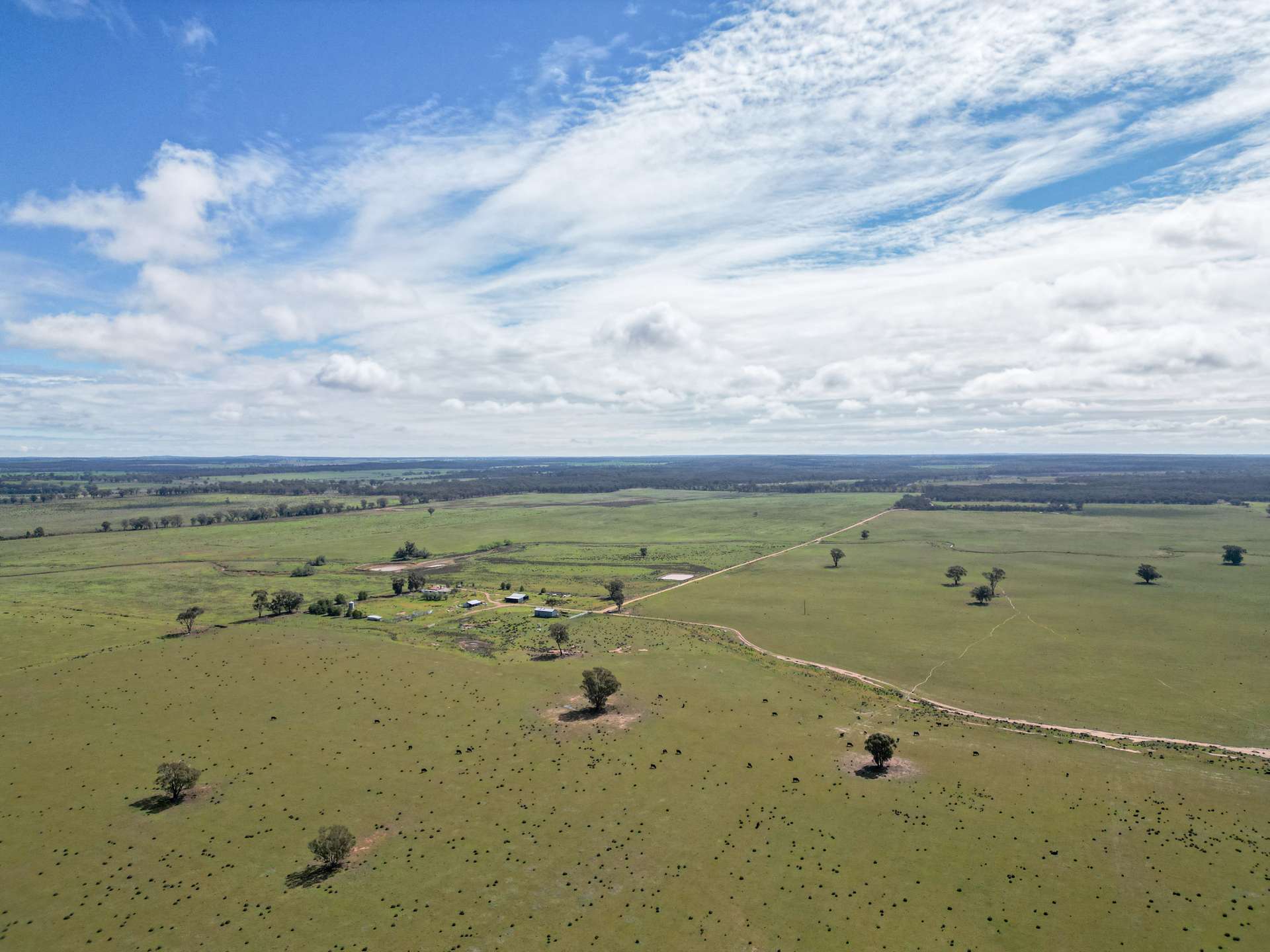 ' Dalmallee' 735 Charcoal Tank Road, West Wyalong For Sale by Farmbuy.com - image 3