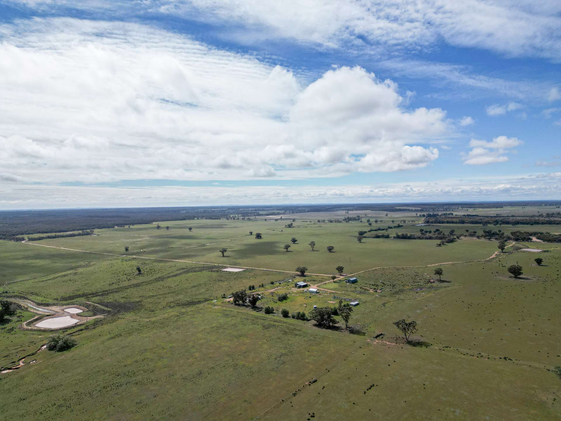 ' Dalmallee' 735 Charcoal Tank Road, West Wyalong For Sale by Farmbuy.com - image 1