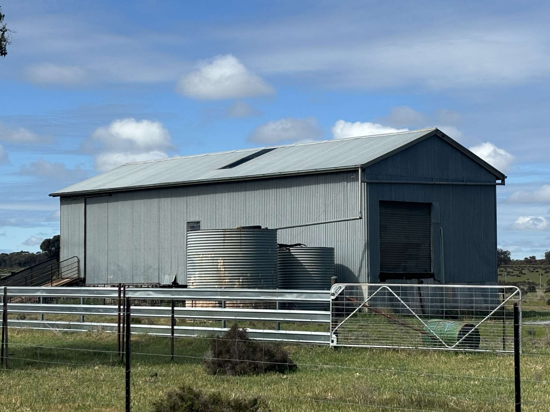 ' Dalmallee' 735 Charcoal Tank Road, West Wyalong For Sale by Farmbuy.com - image 6