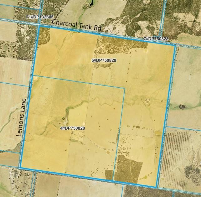 ' Dalmallee' 735 Charcoal Tank Road, West Wyalong For Sale by Farmbuy.com - image 10