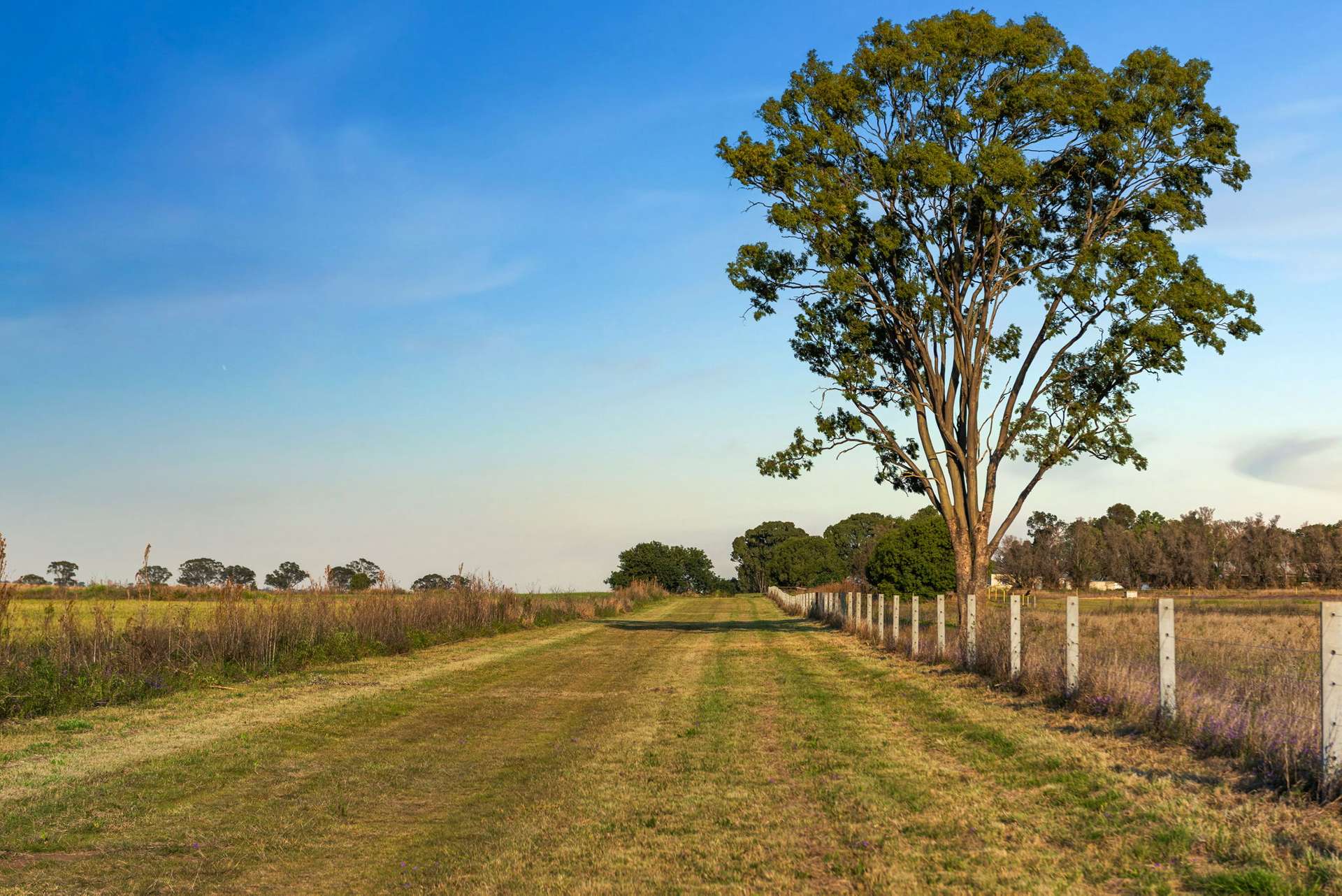 167 Starks Road, Talgai Sold by Farmbuy.com - image 13
