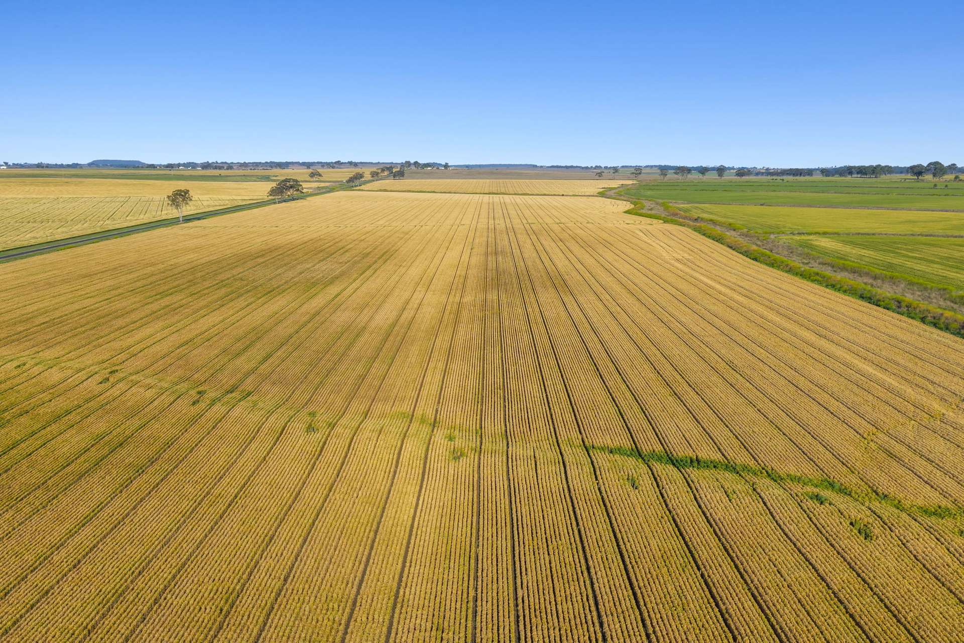 167 Starks Road, Talgai Sold by Farmbuy.com - image 4