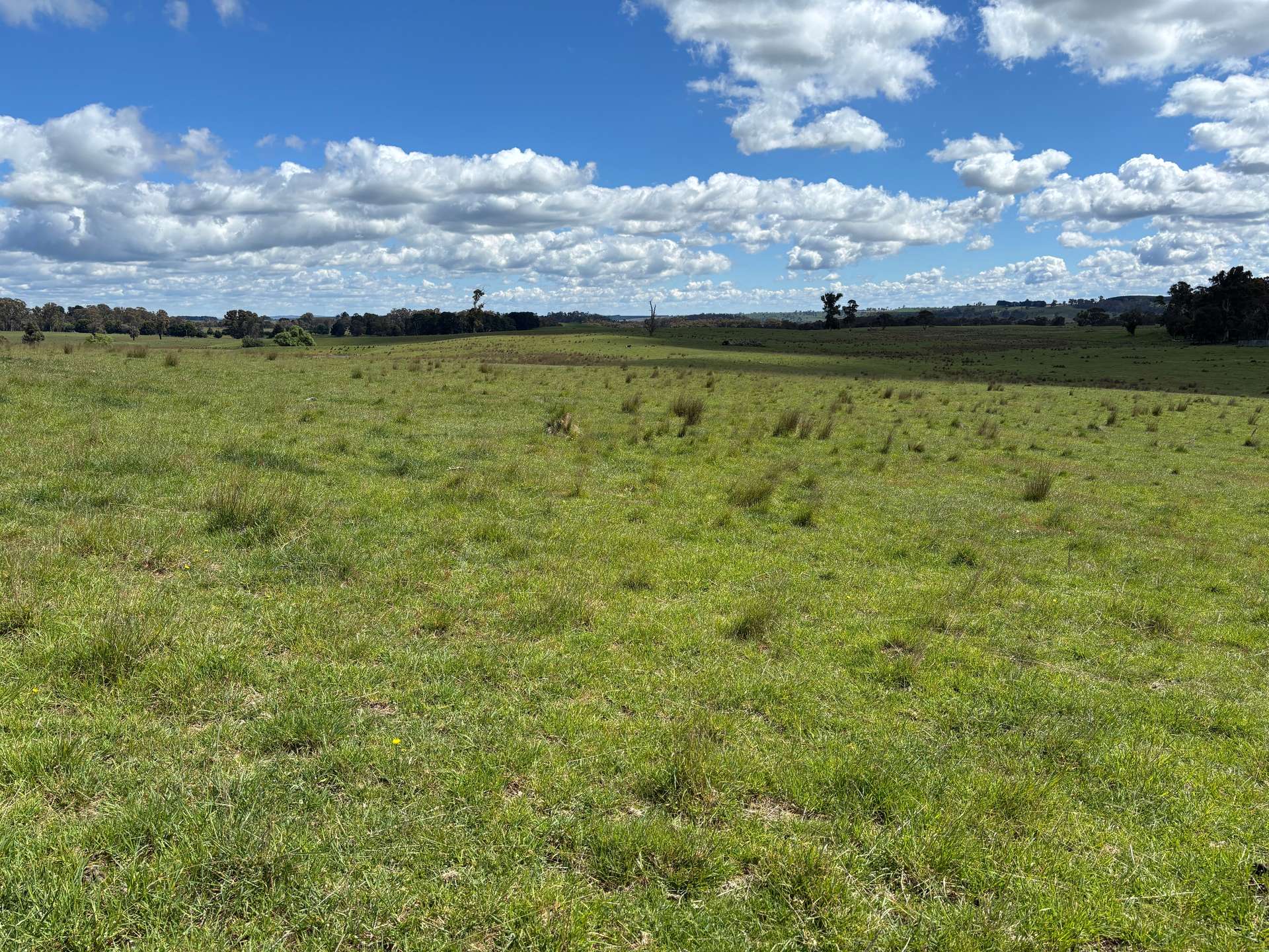 1186 Campbells River Road, Mount David Sold by Farmbuy.com - image 7