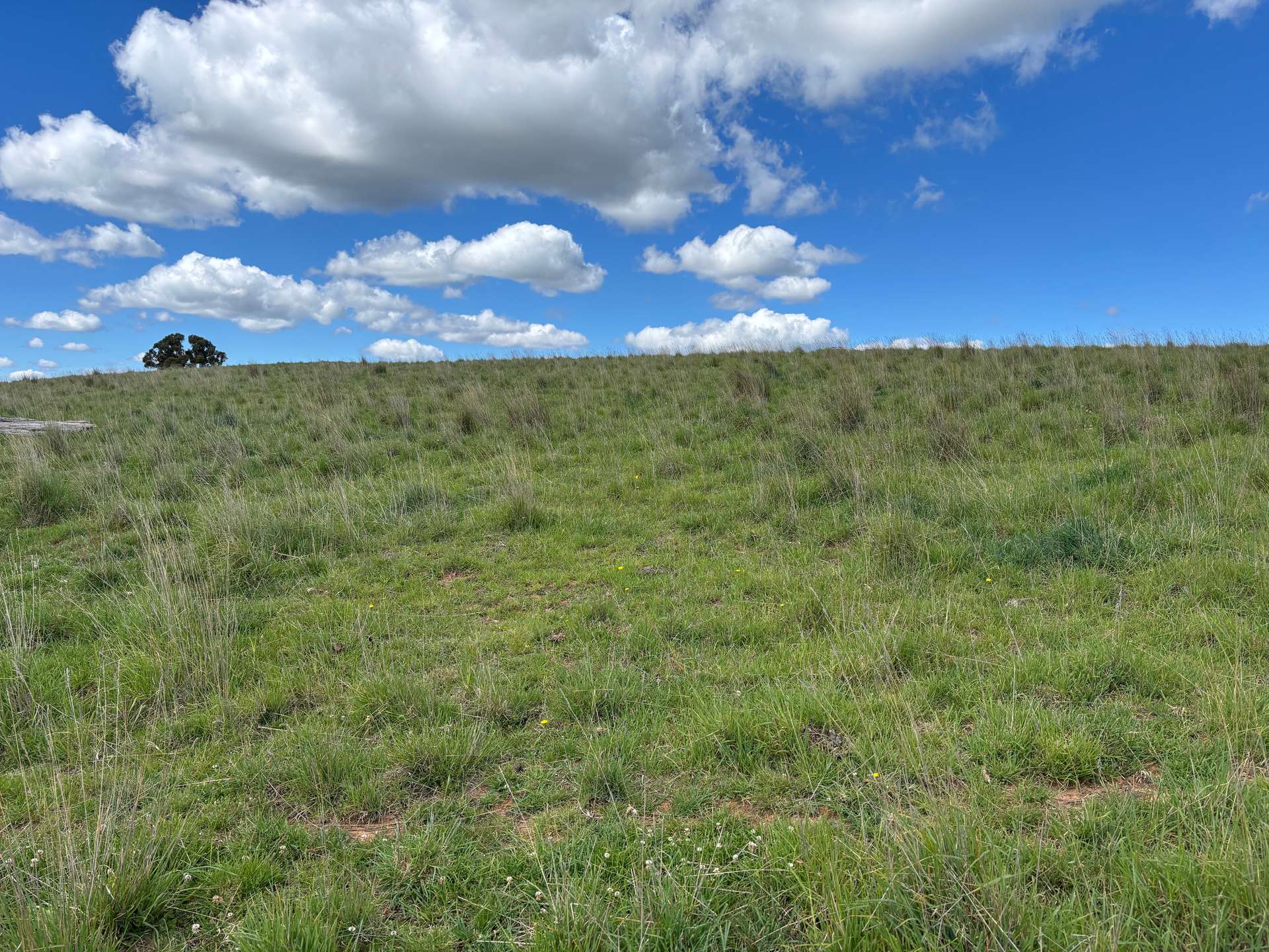 1186 Campbells River Road, Mount David Sold by Farmbuy.com - image 1
