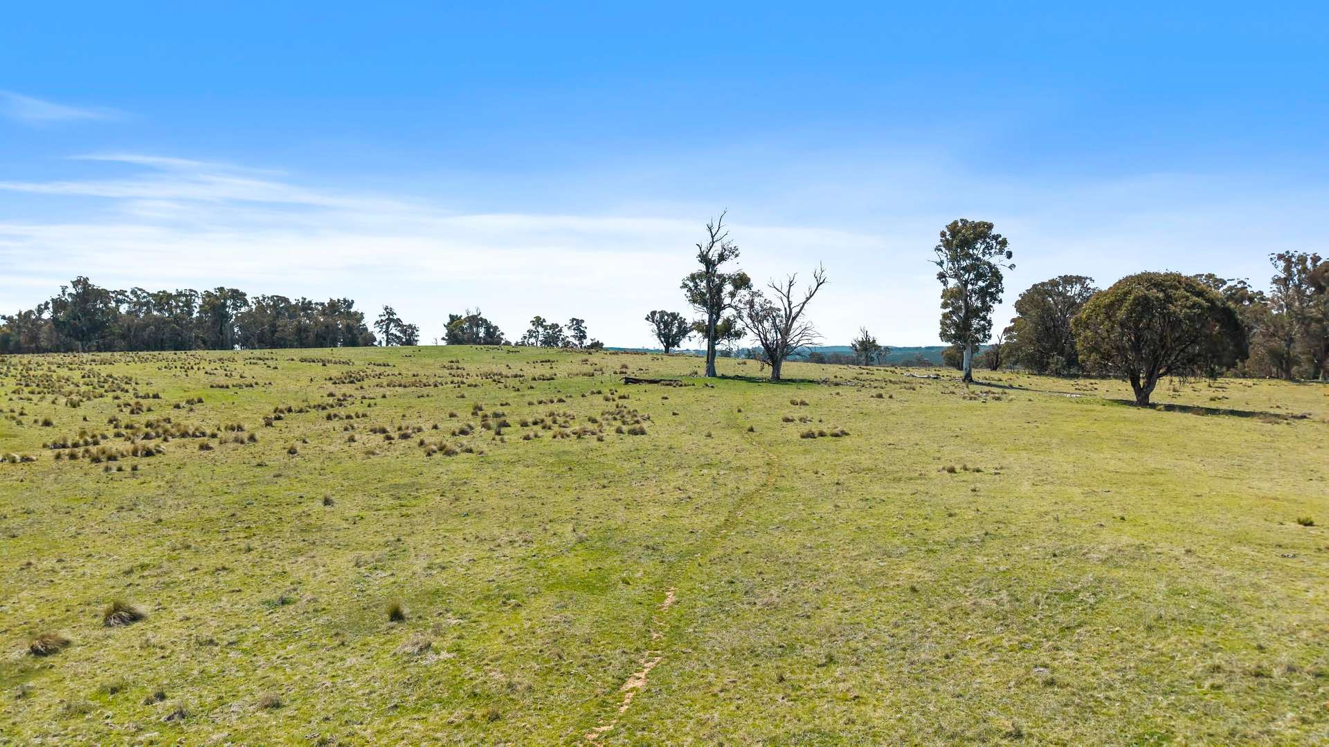 1186 Campbells River Road, Mount David Sold by Farmbuy.com - image 16