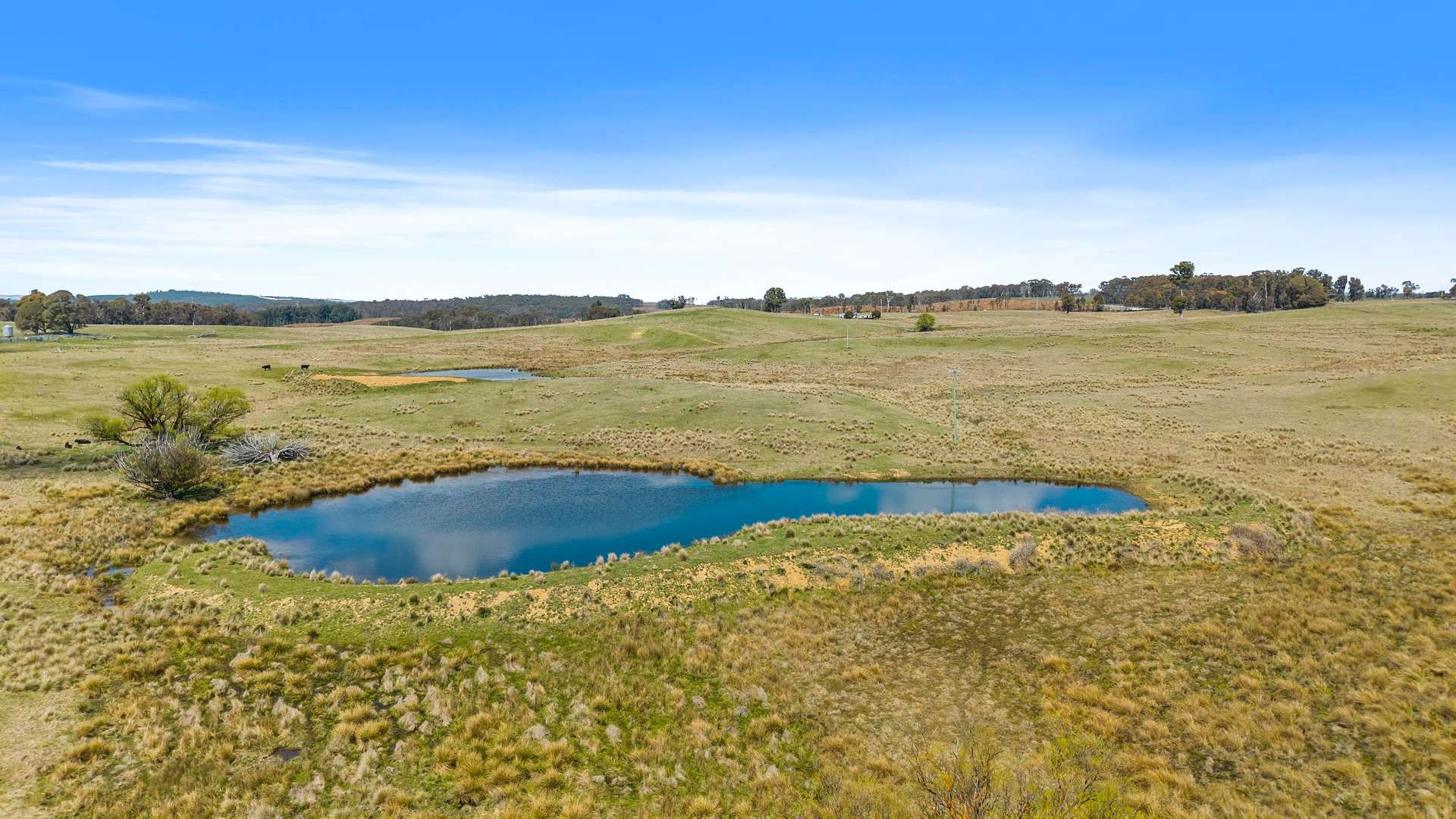 1186 Campbells River Road, Mount David Sold by Farmbuy.com - image 28