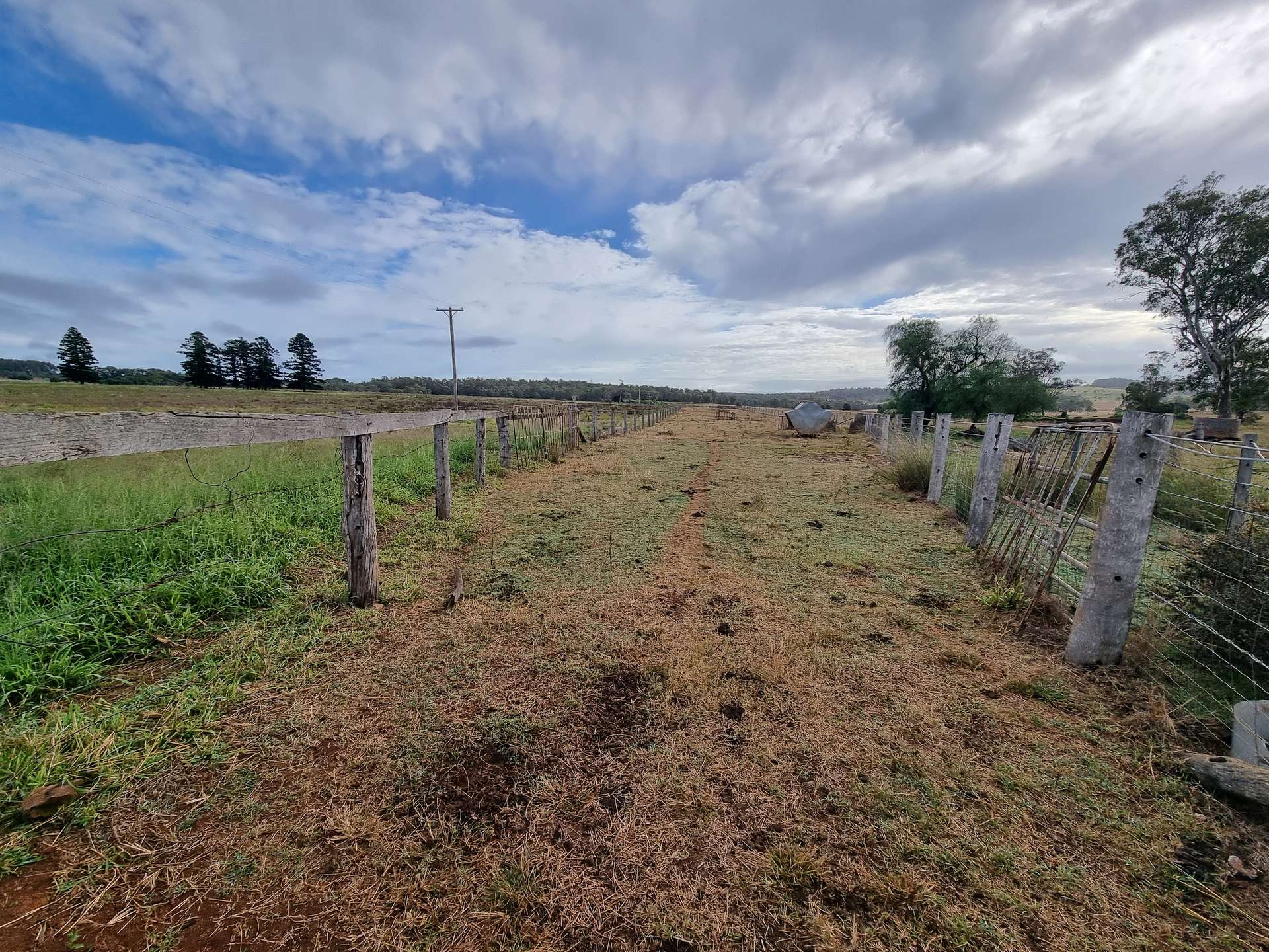 Lot 53 Back Creek Road, Stalworth Sold by Farmbuy.com - image 11