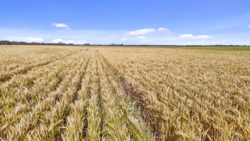 Lot 339 Kangaroo Road, Langhorne Creek SA 5255