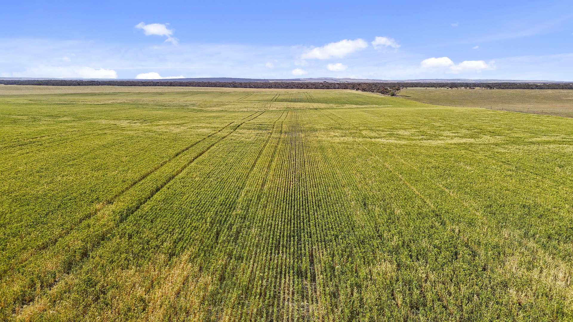 Lot 339 Kangaroo Road, Langhorne Creek Sold by Farmbuy.com - image 14