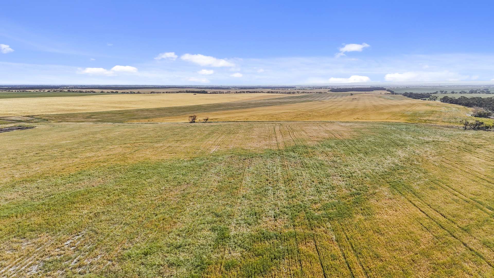 Lot 339 Kangaroo Road, Langhorne Creek Sold by Farmbuy.com - image 21
