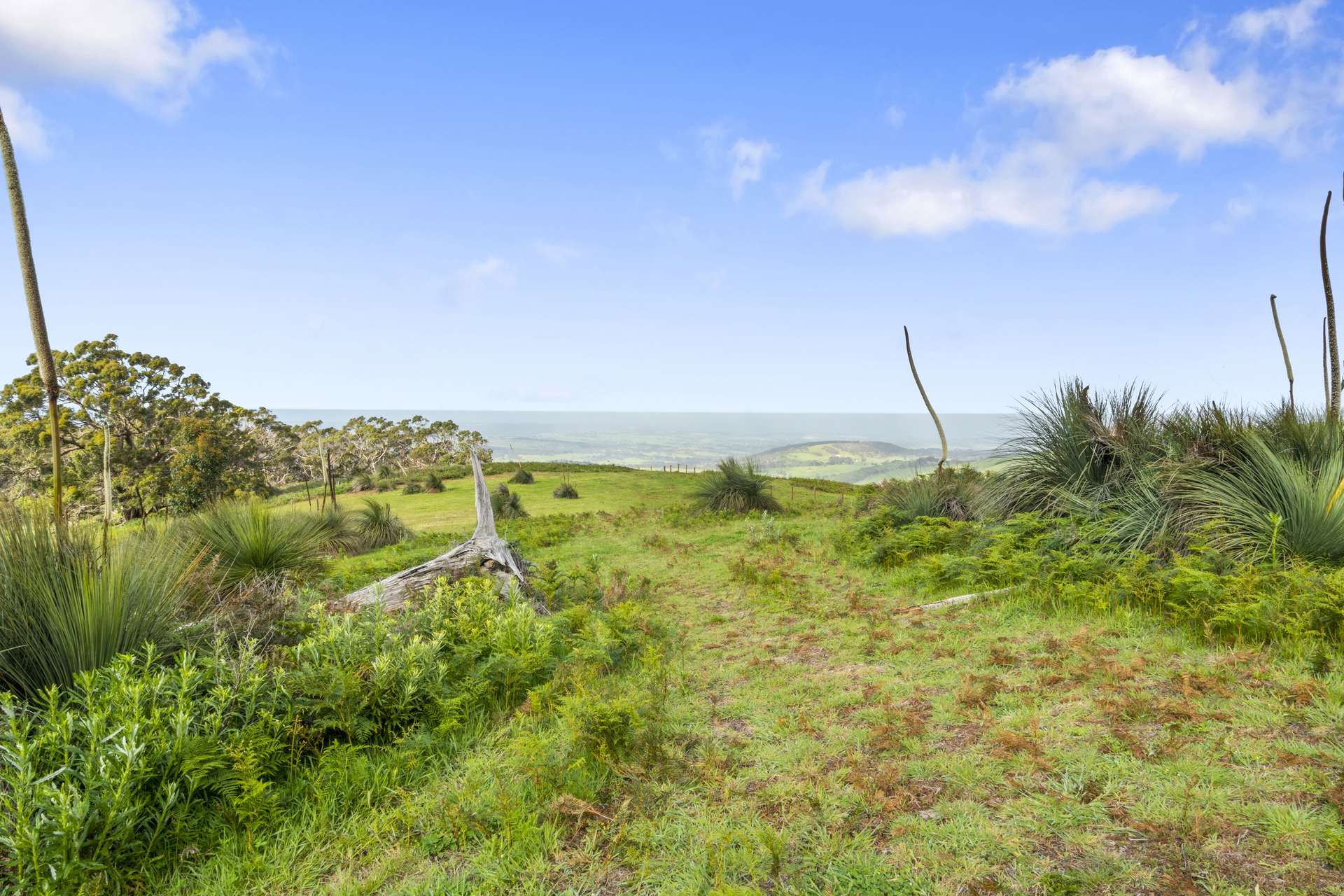 Lot 8 Strangways Road, Inman Valley Sold by Farmbuy.com - image 11