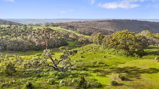Farm Sold - SA - Inman Valley - 5211 - Open nature's door to uninterrupted serenity on 15 unspoilt acres. 