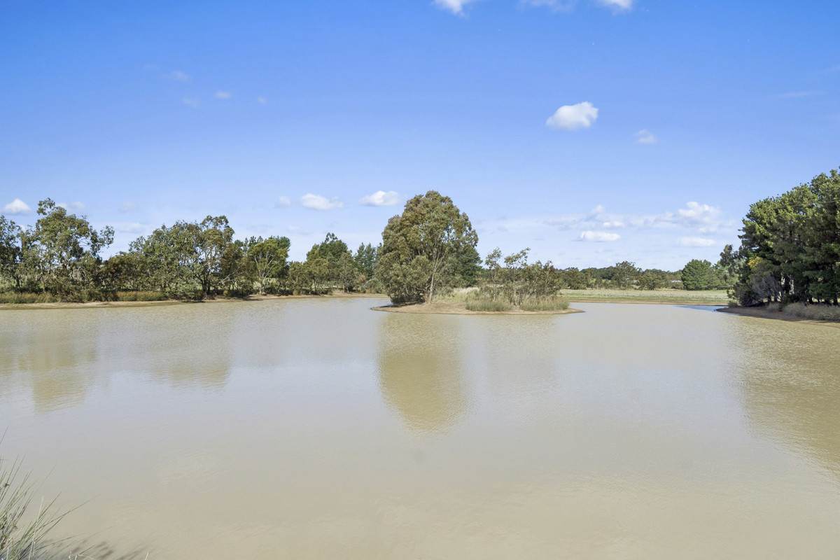 445 Creswick Road, Clunes Sold by Farmbuy.com - image 26