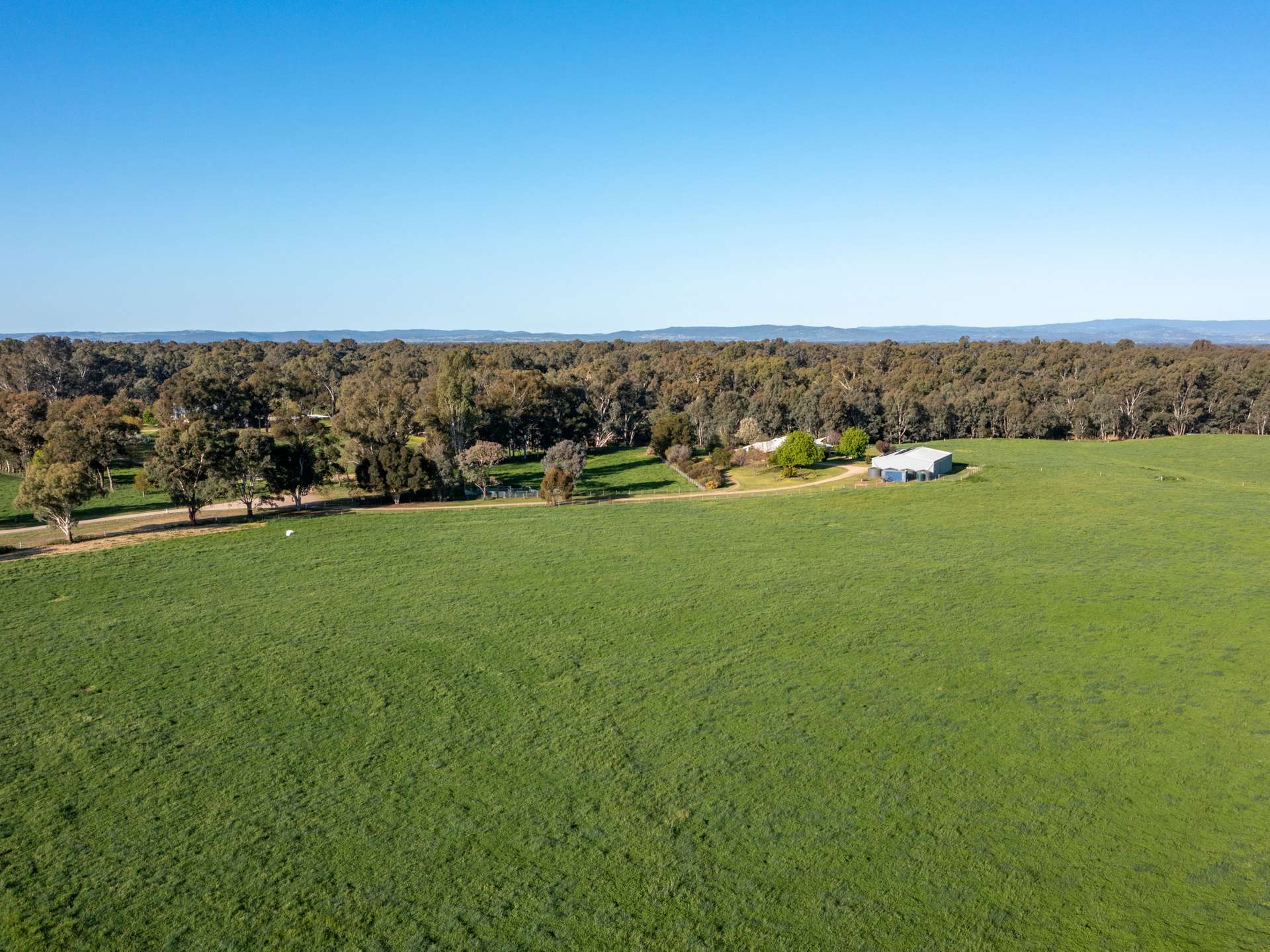 120 Nankervis Lane, Oxley For Sale by Farmbuy.com - image 27