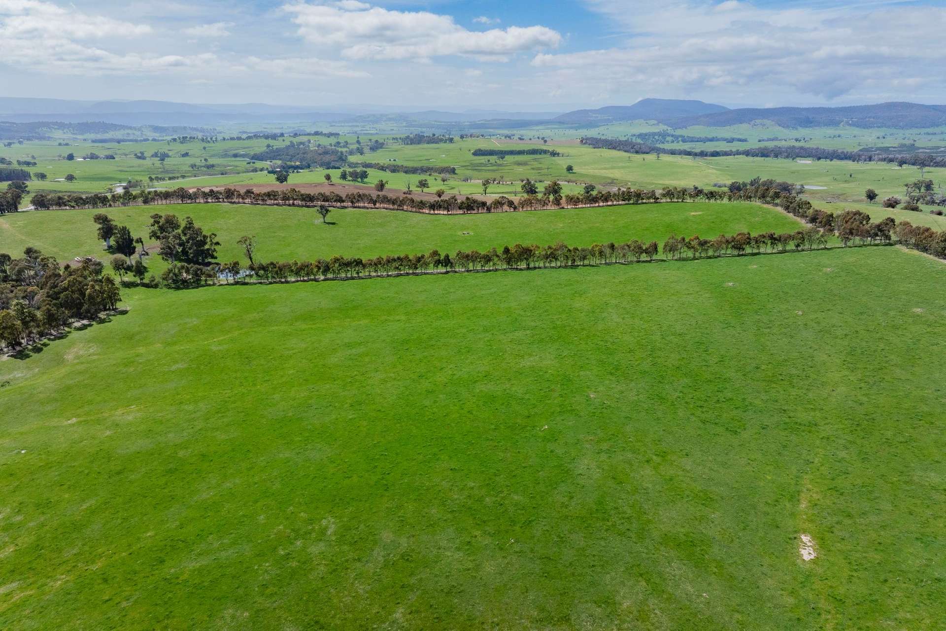 2026 Jingellic Road, Tumbarumba For Sale by Farmbuy.com - image 9