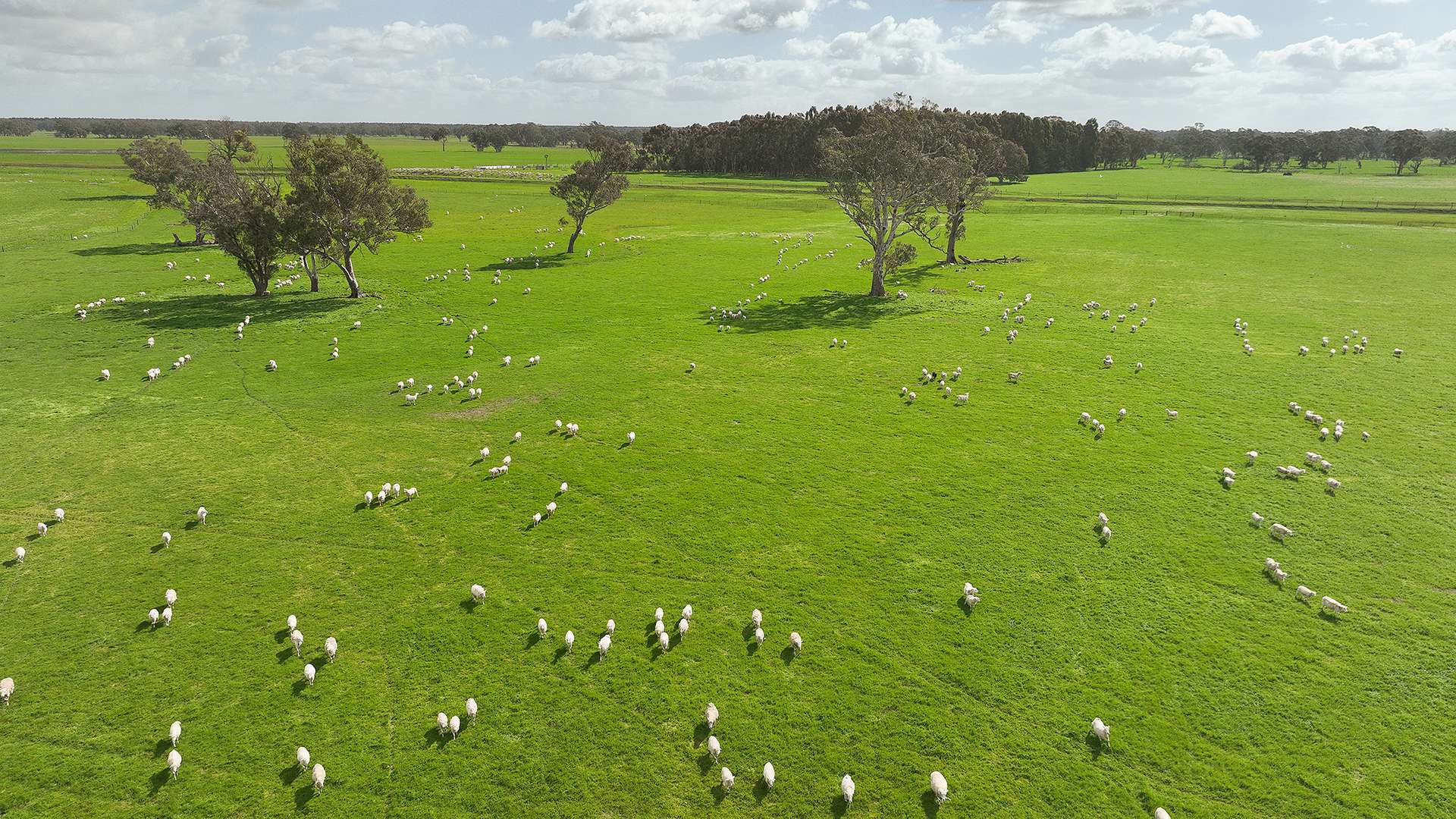 546 Bool Lagoon West Road, Penola For Sale by Farmbuy.com - image 1