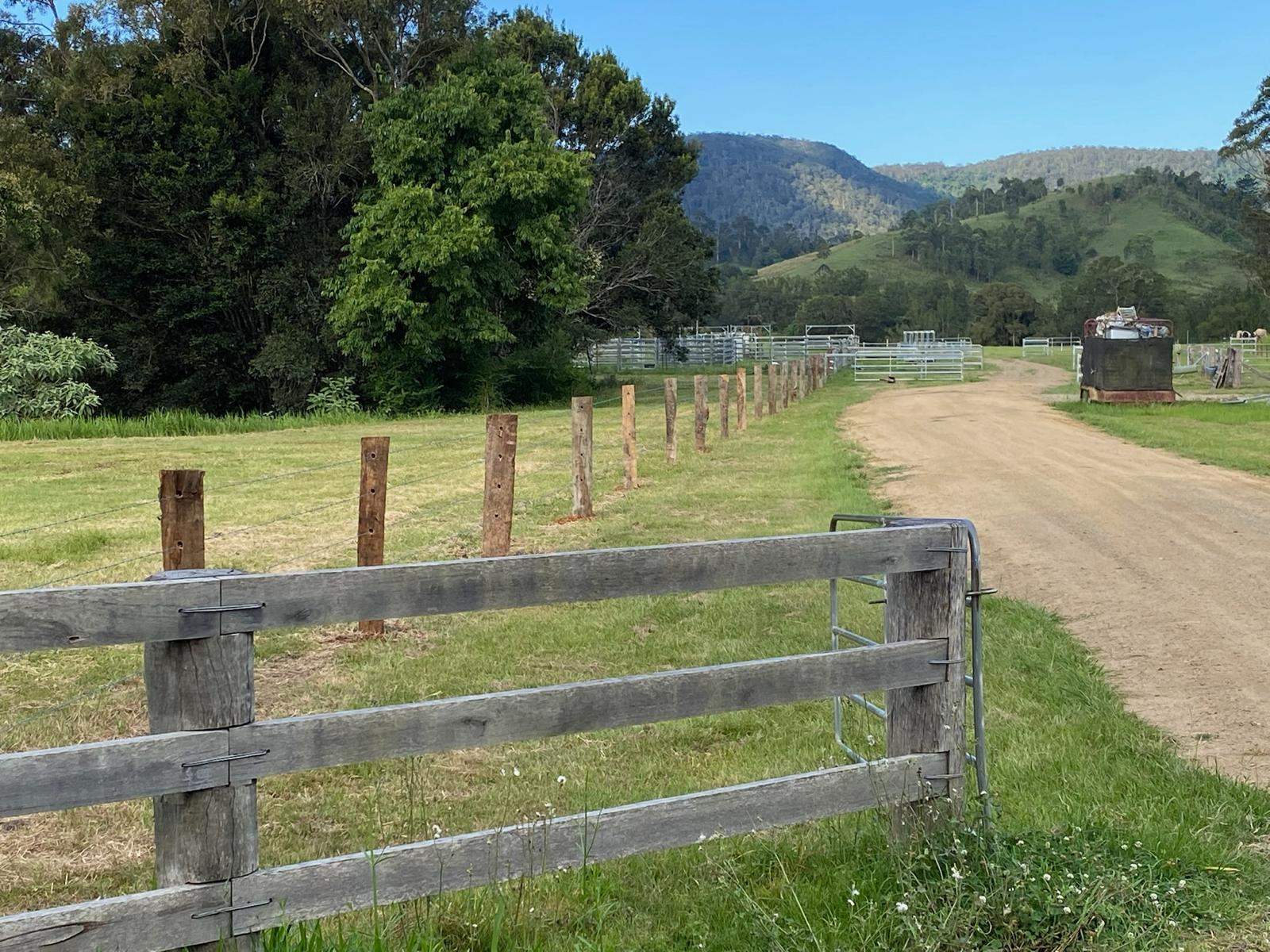 2170 Maleny   Kenilworth Road, Conondale For Sale by Farmbuy.com - image 21