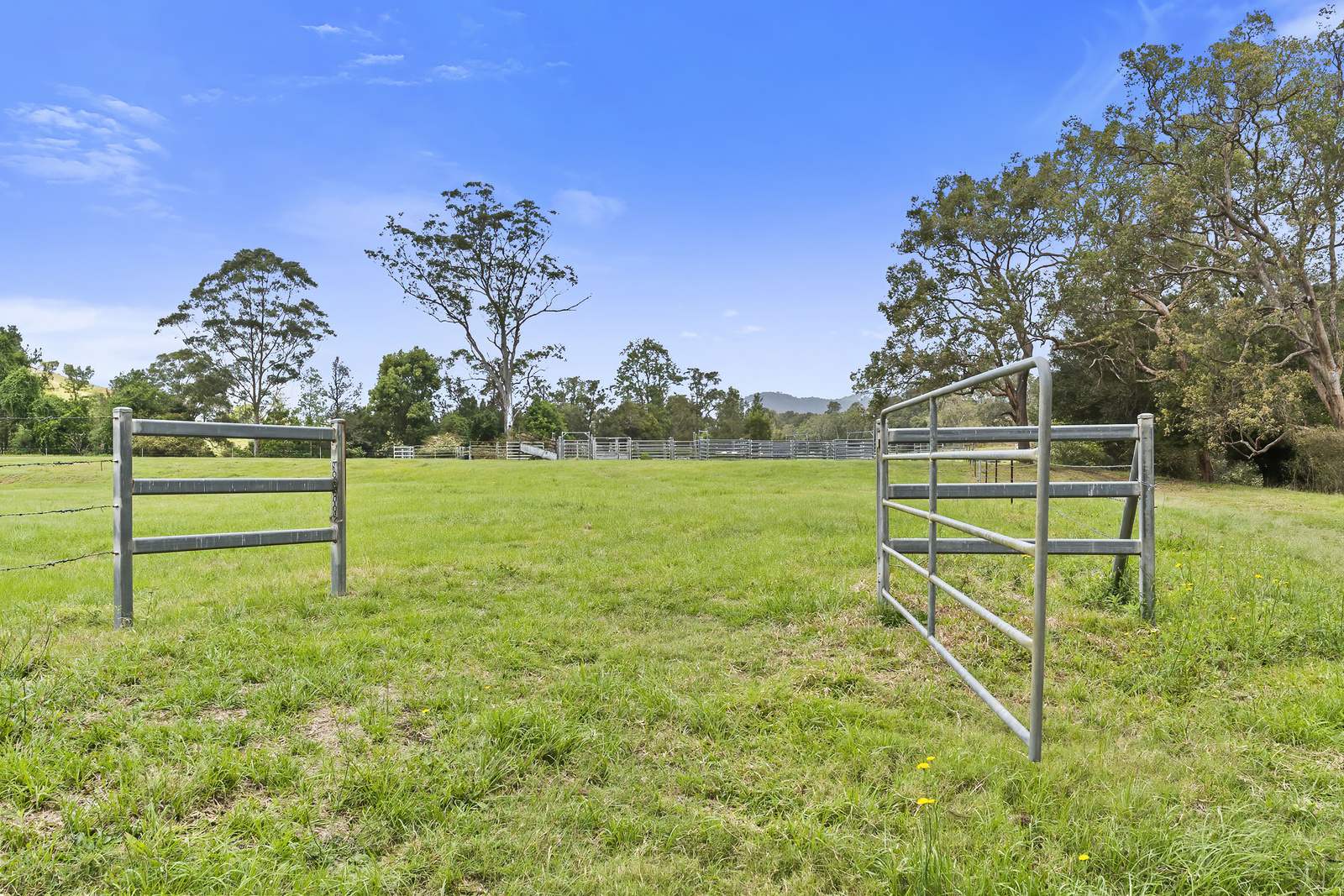 2170 Maleny   Kenilworth Road, Conondale For Sale by Farmbuy.com - image 19