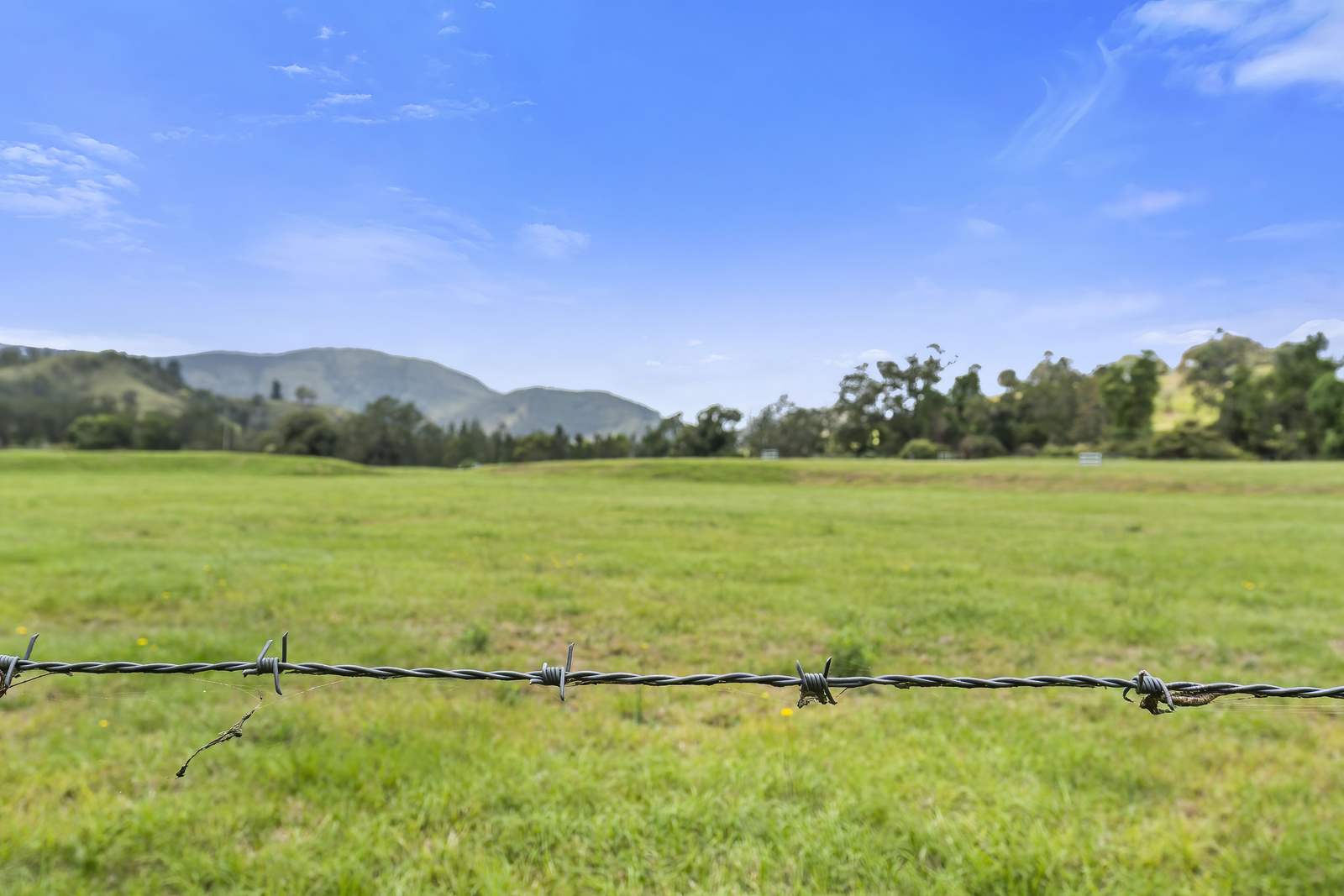 2170 Maleny   Kenilworth Road, Conondale For Sale by Farmbuy.com - image 20
