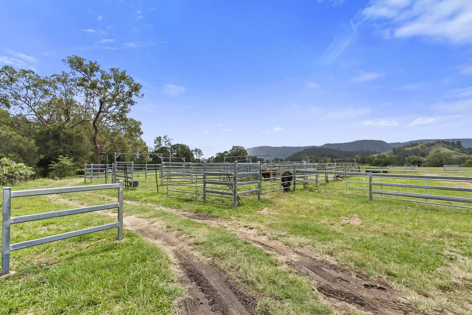 2170 Maleny   Kenilworth Road, Conondale For Sale by Farmbuy.com - image 9