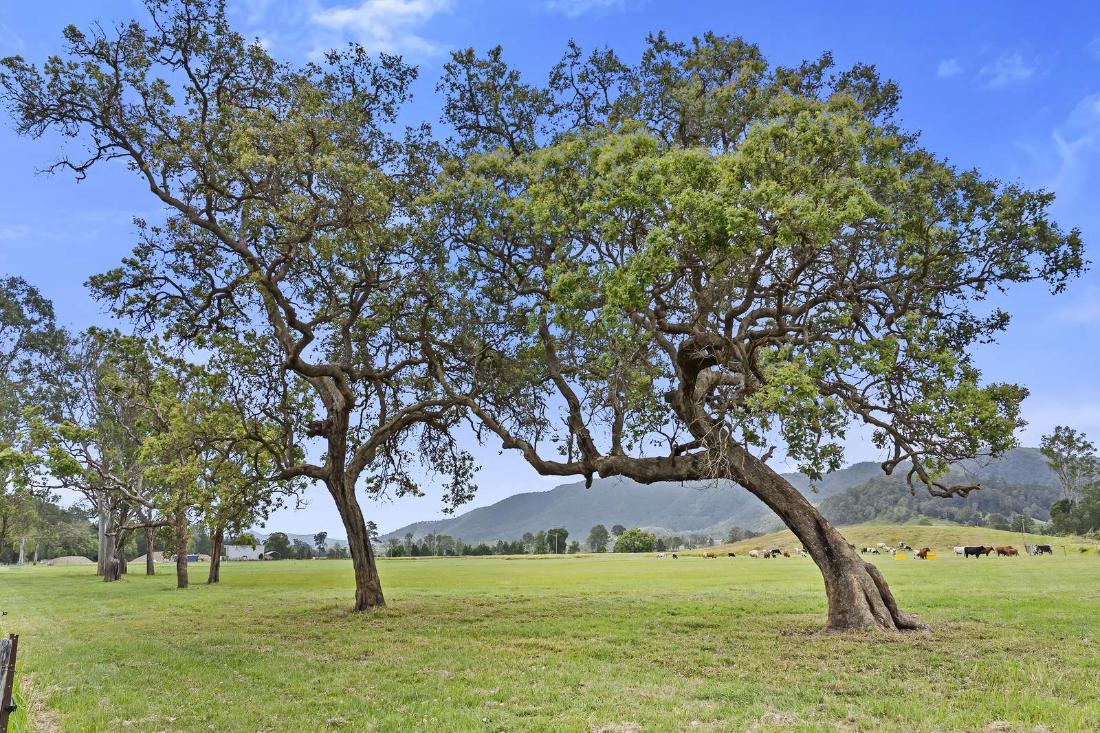 2170 Maleny   Kenilworth Road, Conondale For Sale by Farmbuy.com - image 1