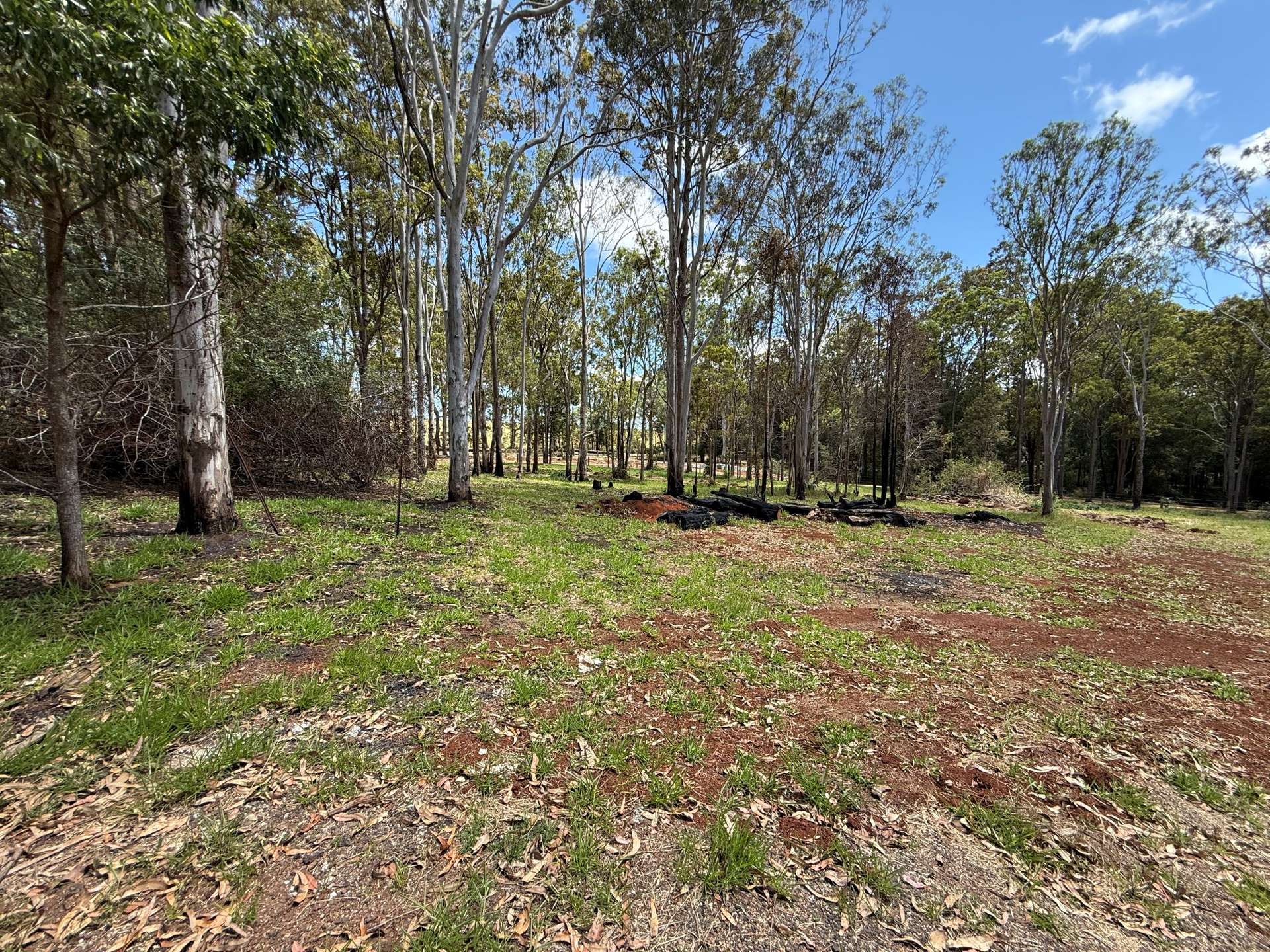 Lot 1, 40 Elms Road, Wondecla Sold by Farmbuy.com - image 4
